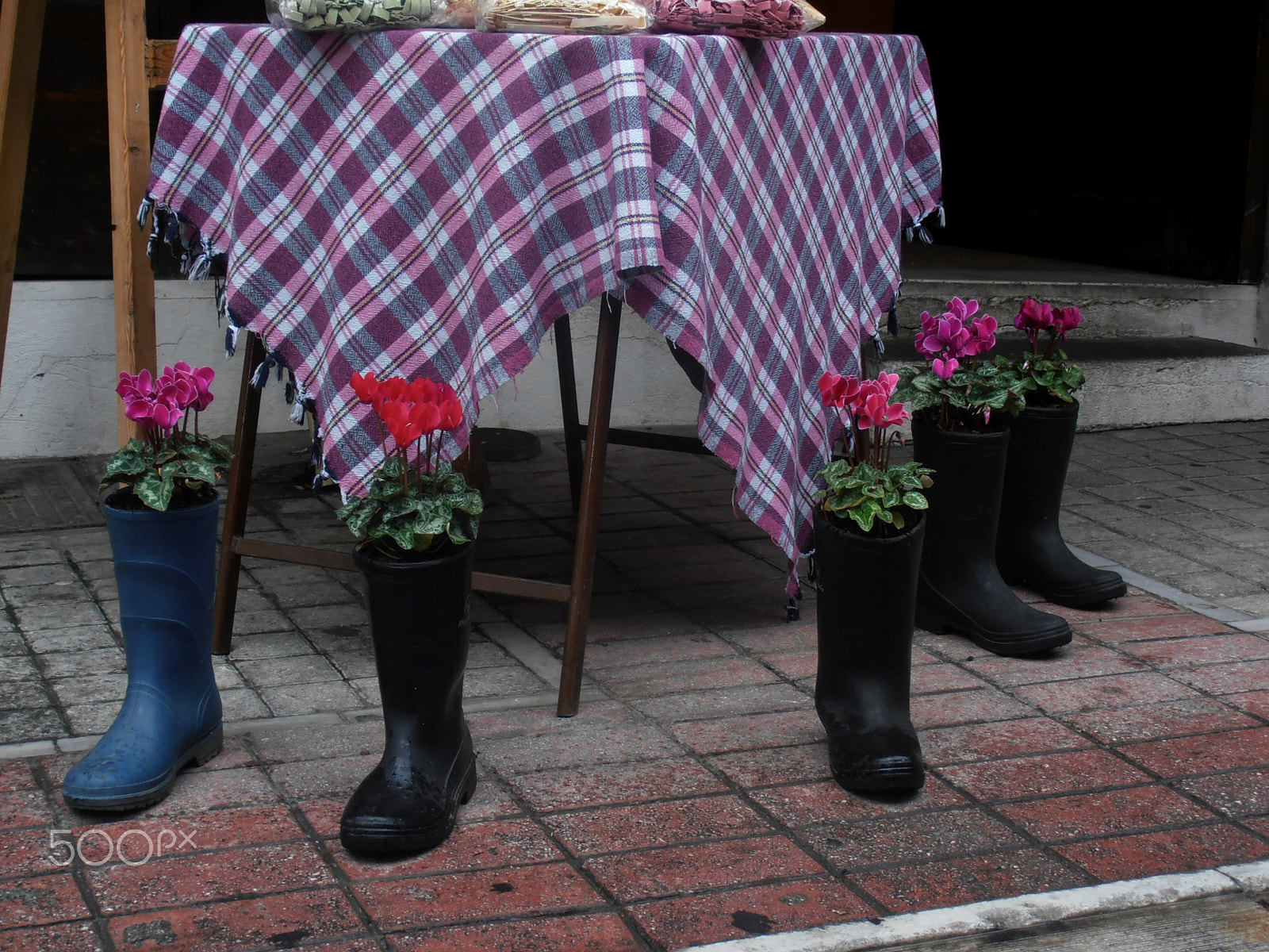 Olympus VR310,D720 sample photo. Flower boots photography