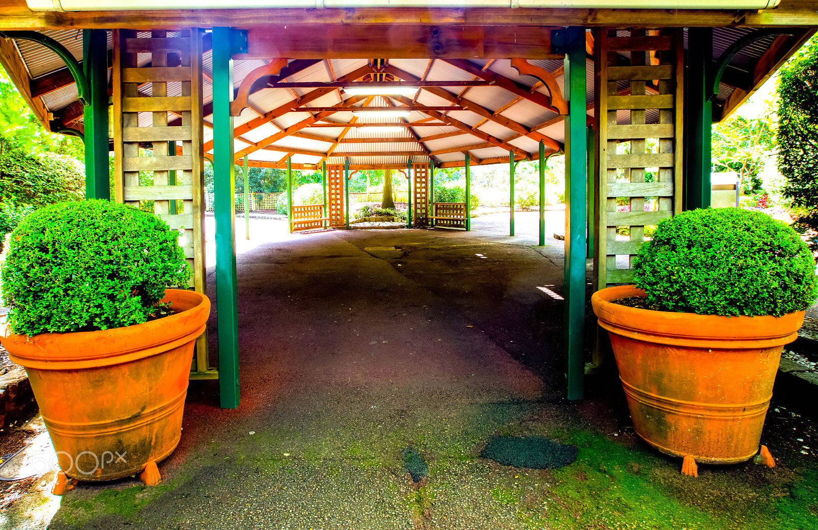 Canon EF 16-35mm F2.8L II USM sample photo. Botanical gardens photography