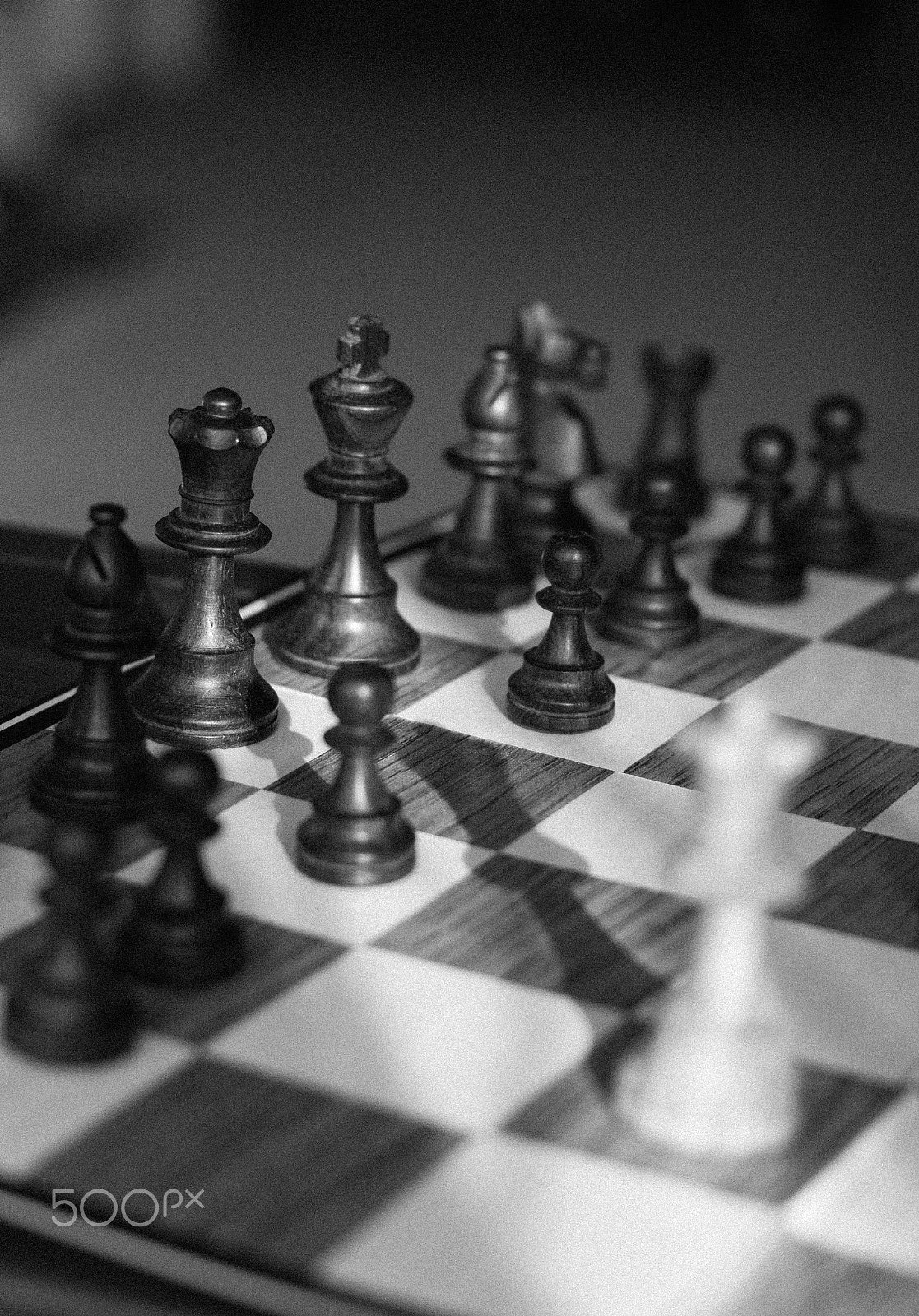 Canon EF 50mm F1.4 USM sample photo. Threat photography