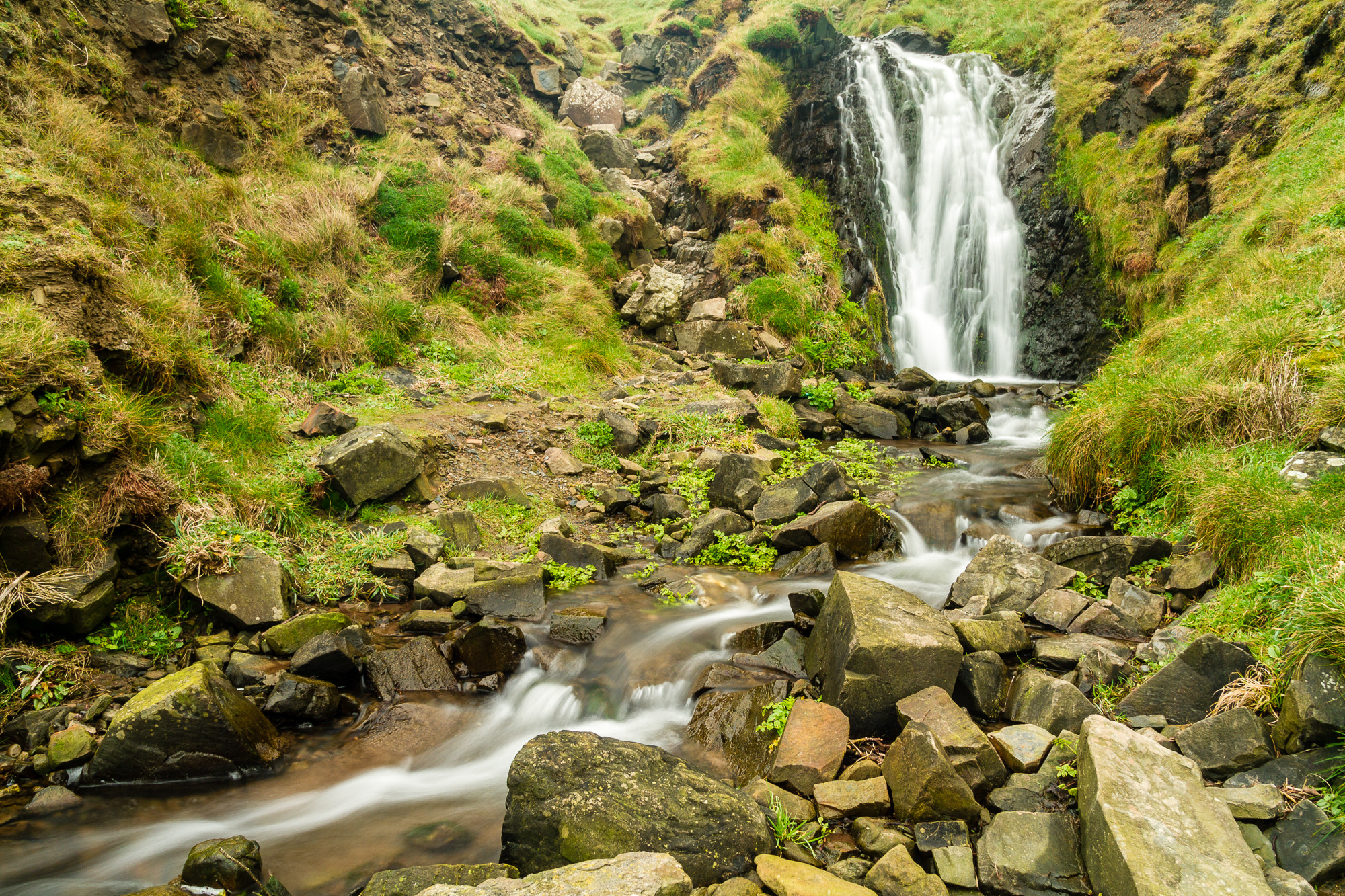 Canon EOS 7D + Sigma 18-50mm f/2.8 Macro sample photo. Stanbury mouth photography