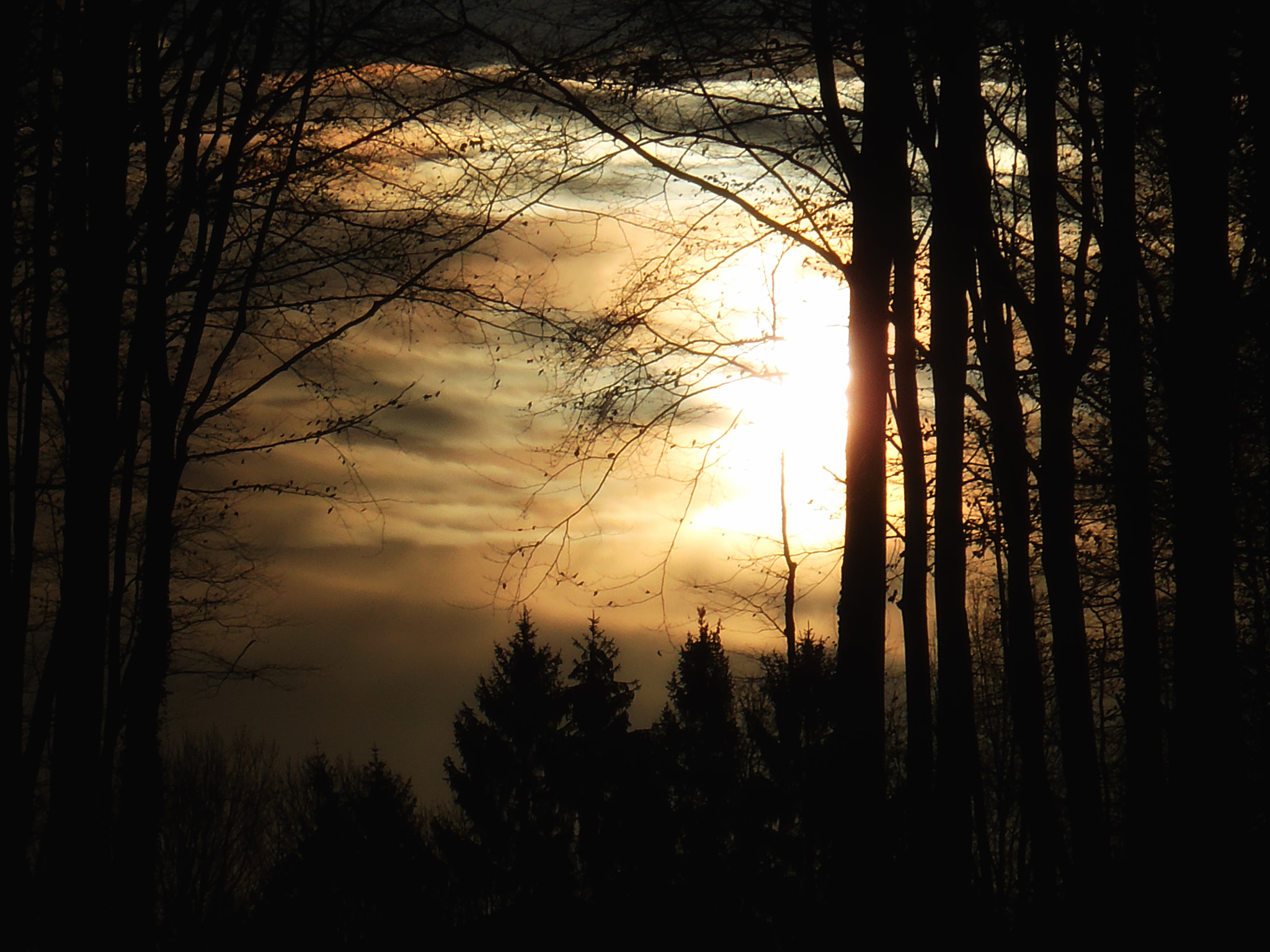 Olympus StylusTough-6020 sample photo. Cloudy sunrise photography