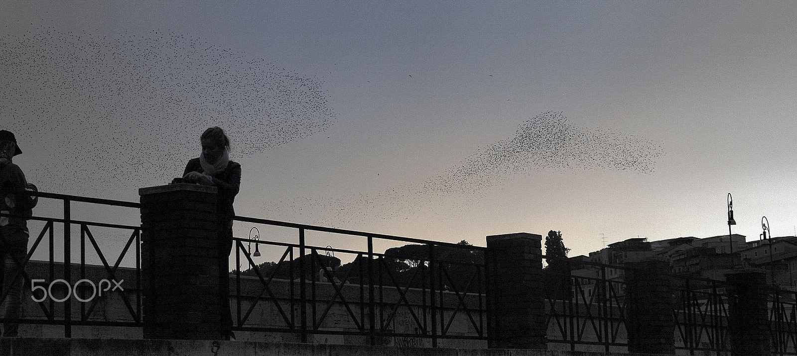 Olympus E-400 (EVOLT E-400) sample photo. Flock of birds in rome photography