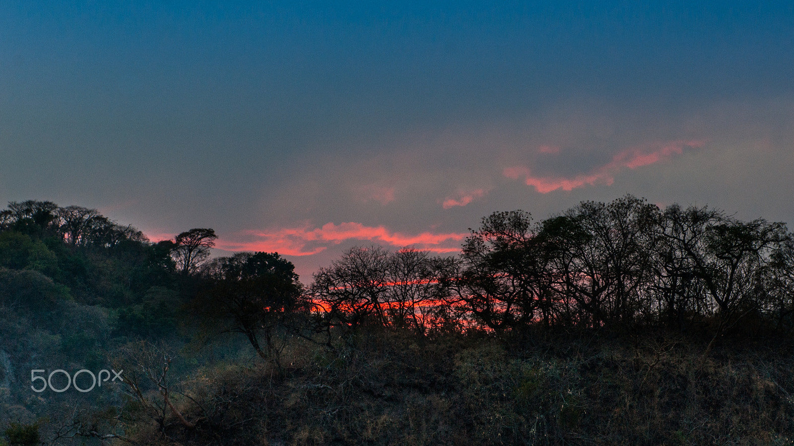 Sony 75-300mm F4.5-5.6 sample photo. Fire among the trees photography