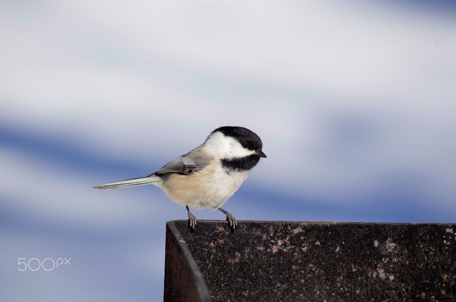 Pentax K-50 sample photo. Nature photography