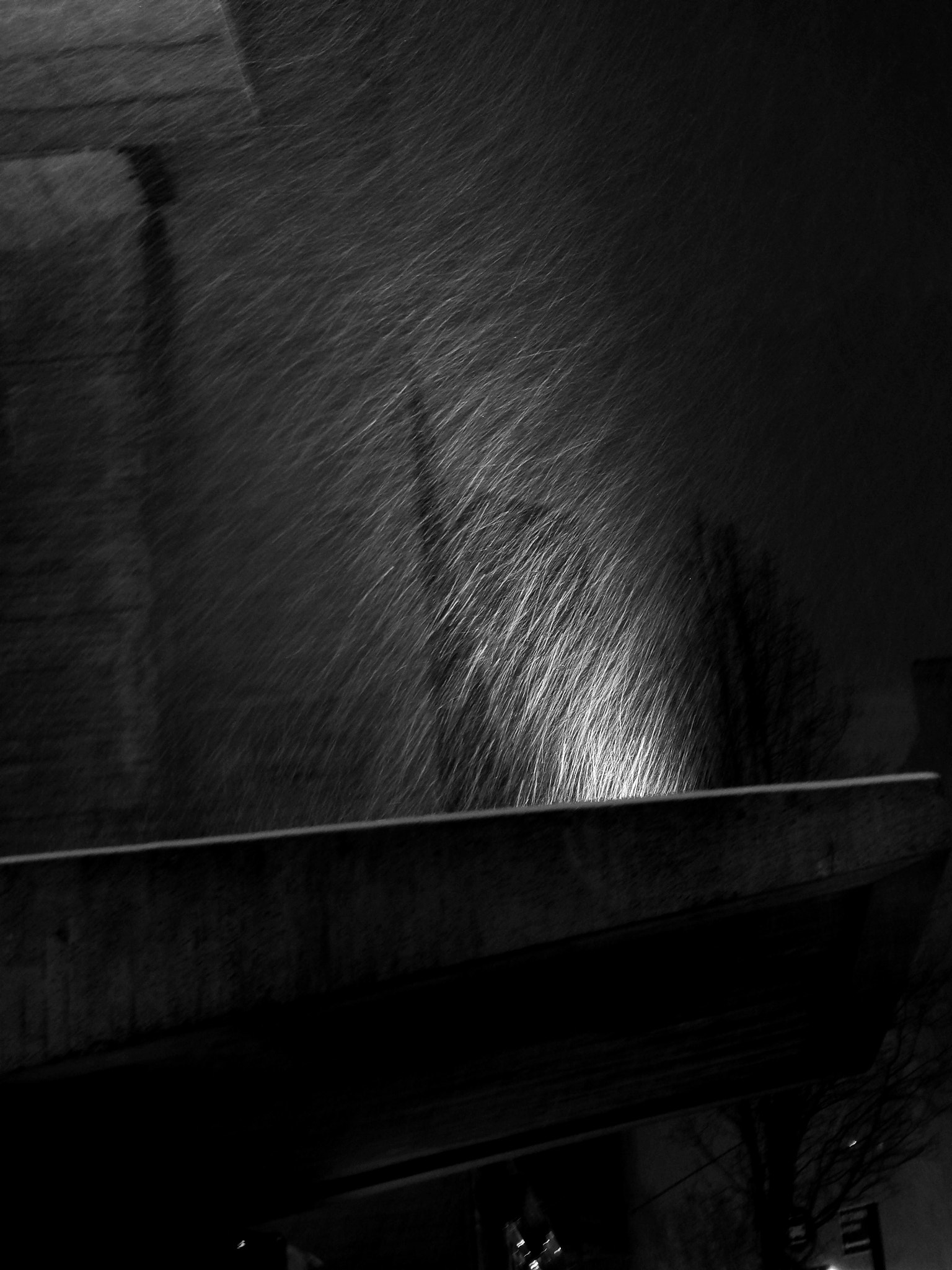 JK KODAK PIXPRO SL10 sample photo. White light 2 photography