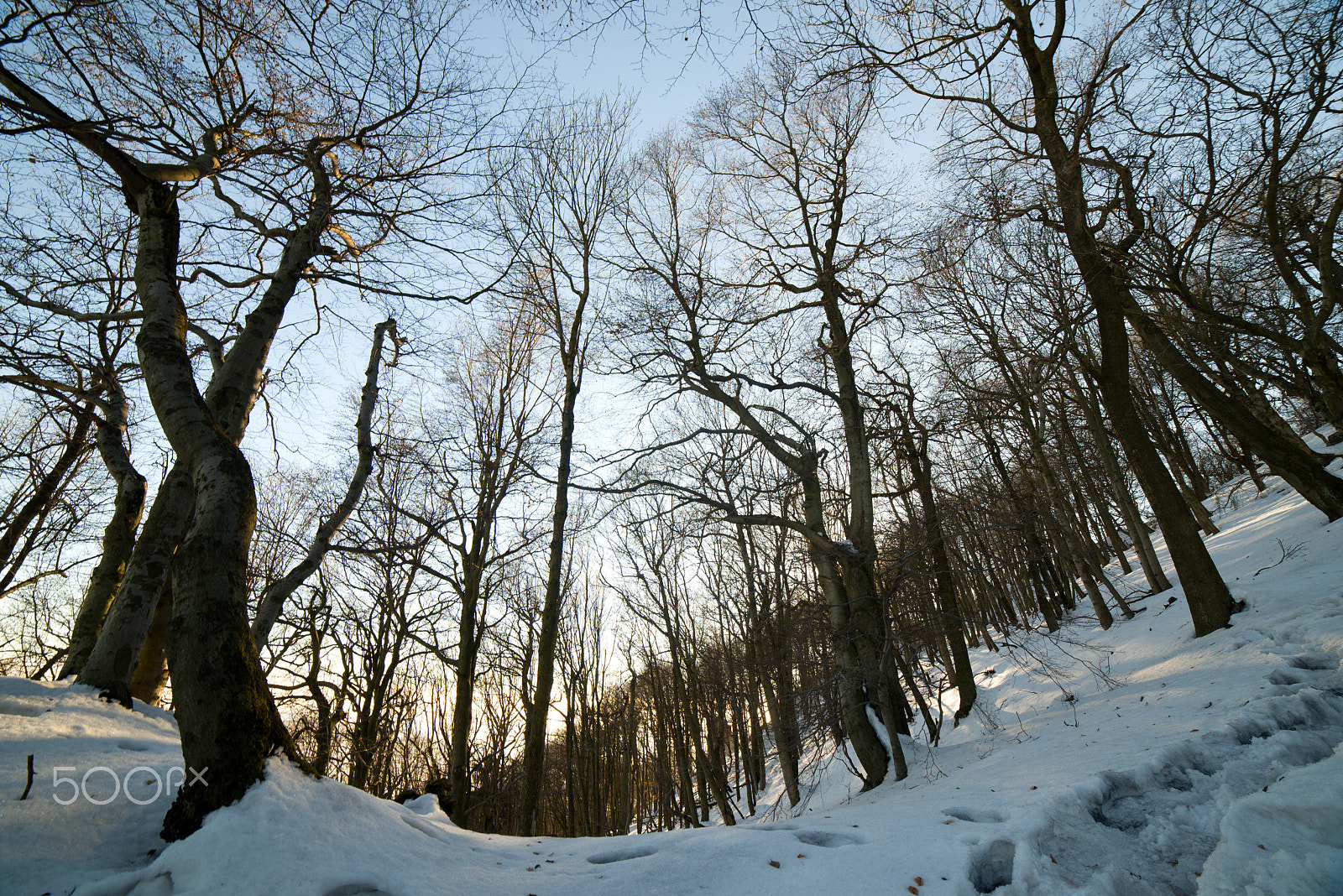 Samyang 14mm F2.8 ED AS IF UMC sample photo. Sedlo photography