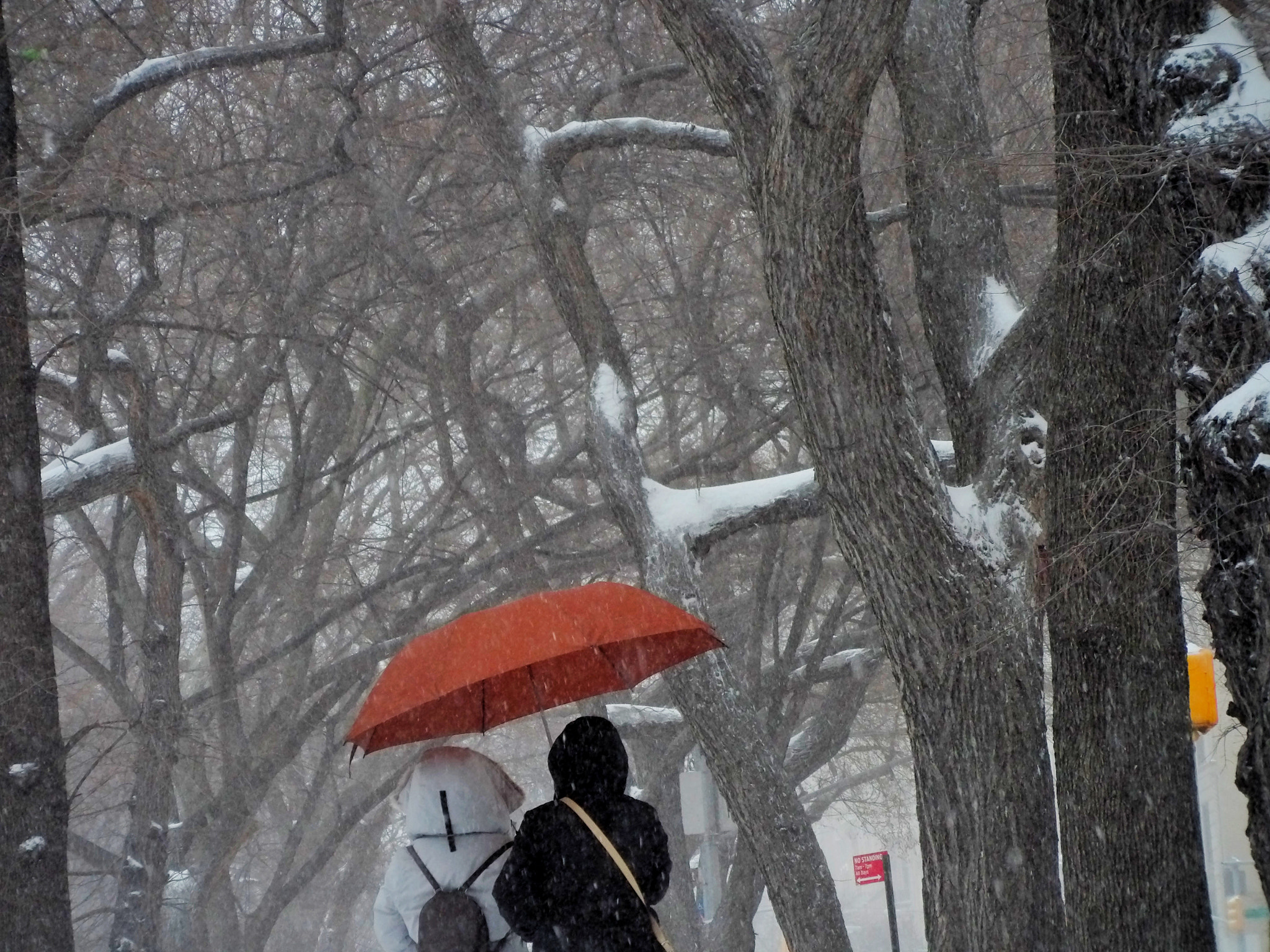 JK KODAK PIXPRO SL10 sample photo. Red umbrella photography