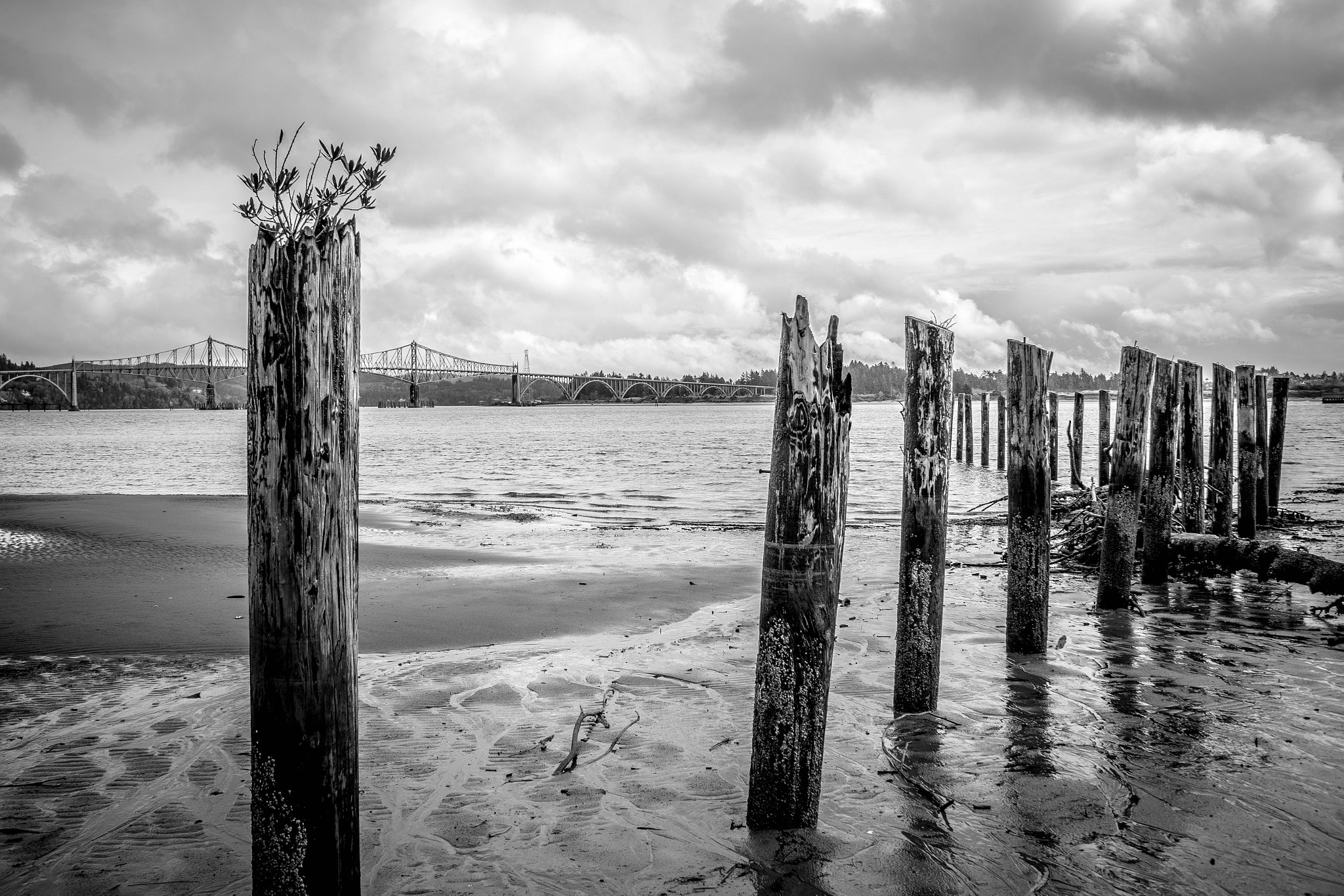 Canon EF 28-135mm F3.5-5.6 IS USM sample photo. Coos bay photography