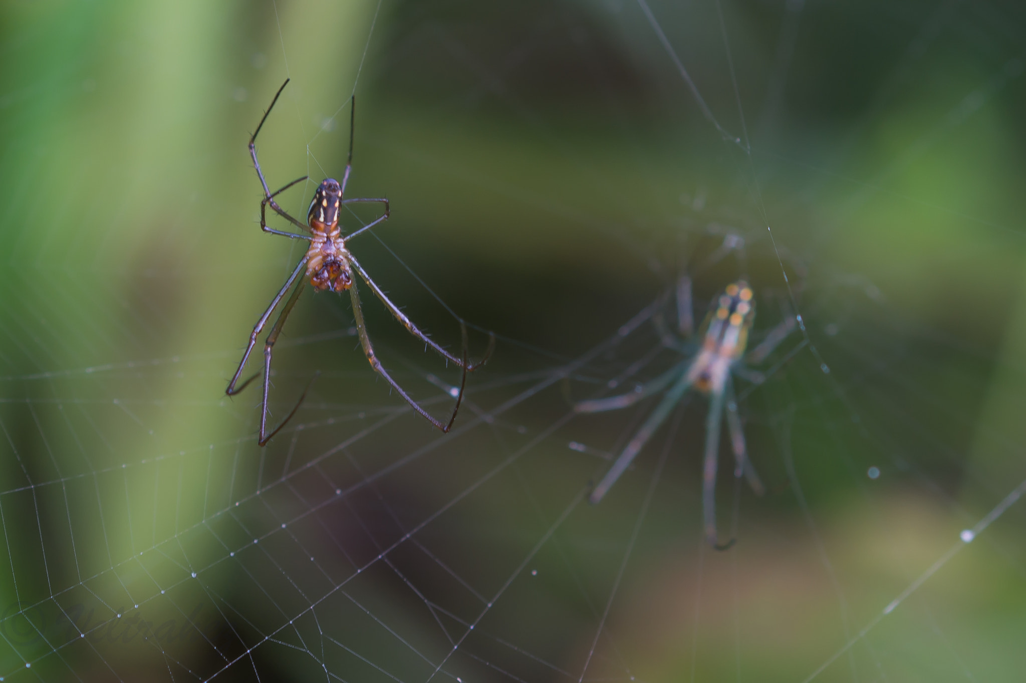 Sigma 105mm F2.8 EX DG OS HSM sample photo. Dsc photography