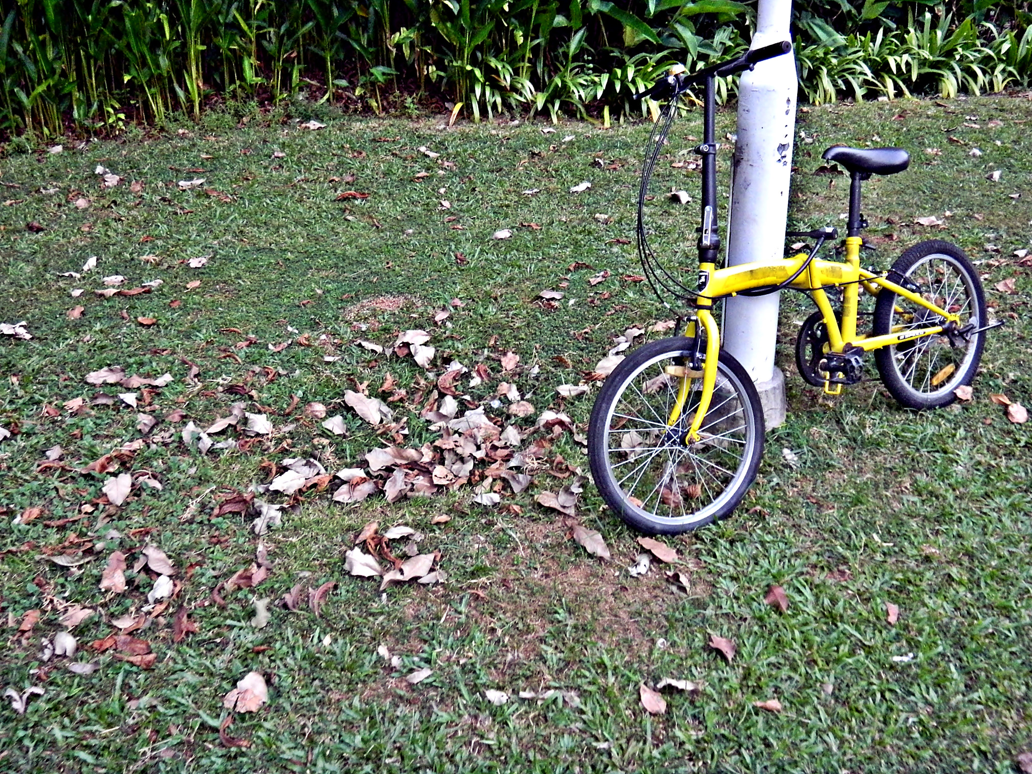 Nikon Coolpix S1200pj sample photo. City bicycle series (uncommon common) photography
