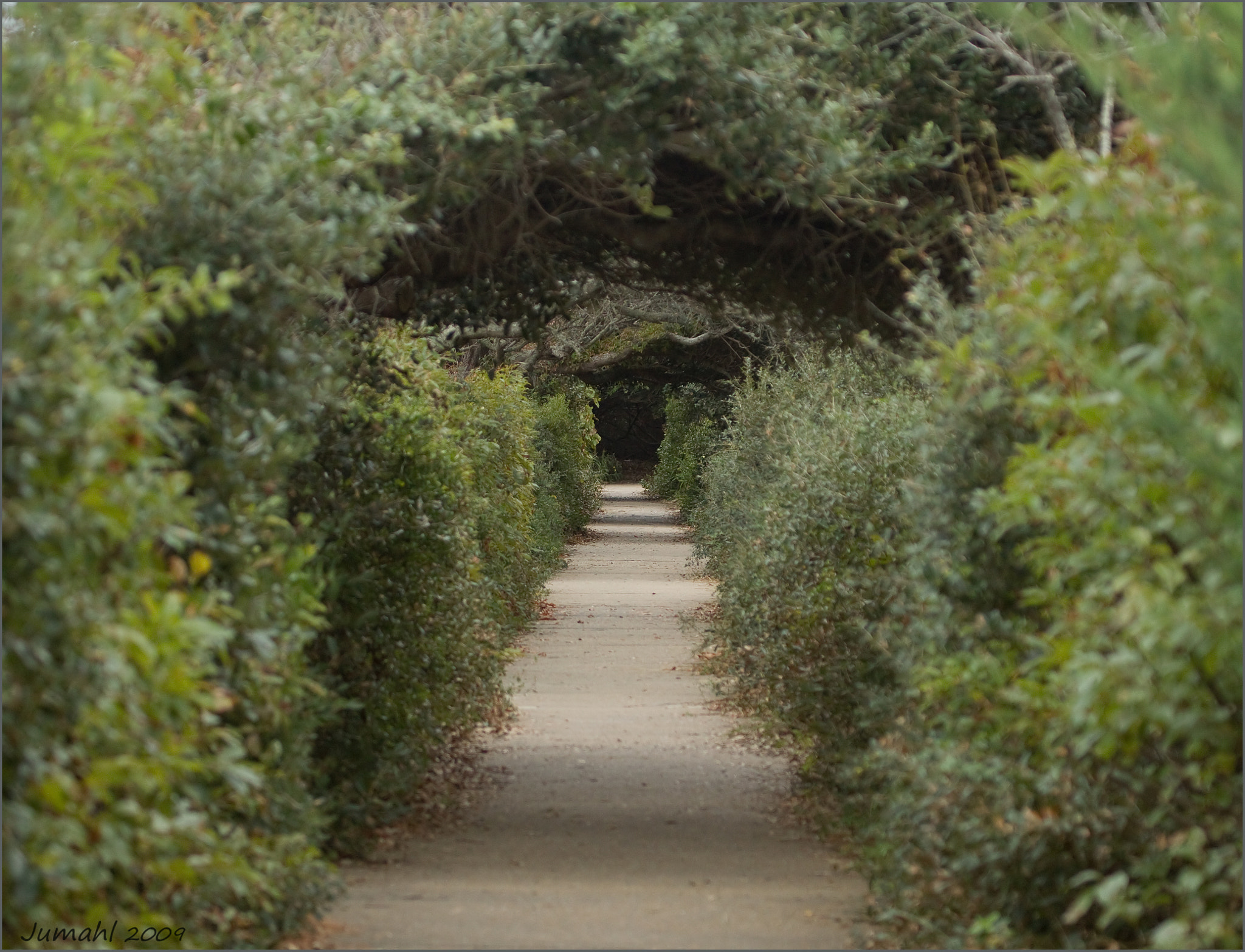 Canon EOS 50D sample photo. Pea island refuge walkway photography