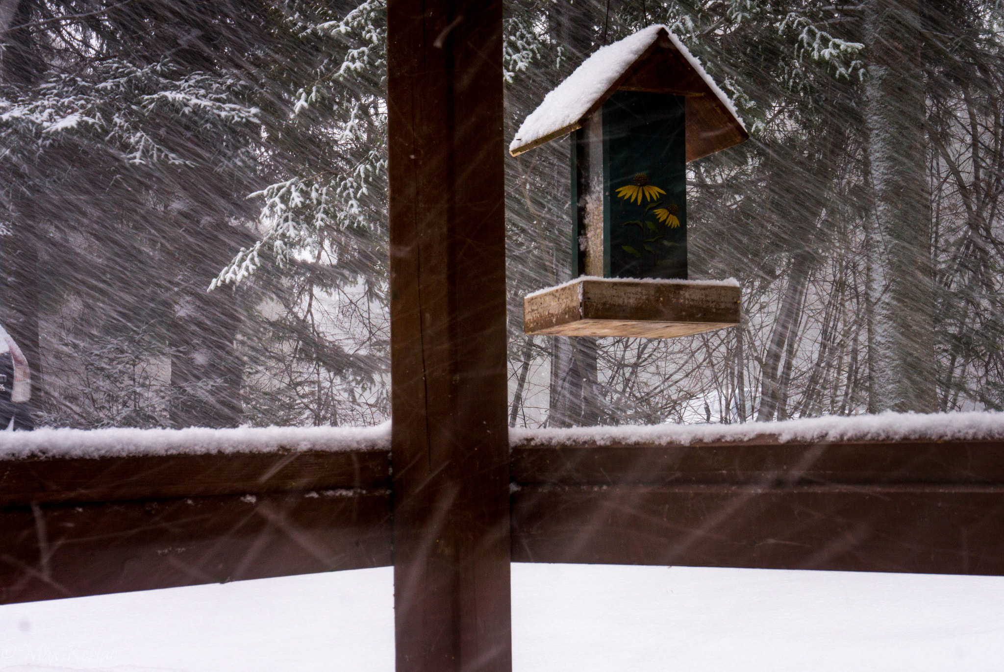 Sony Alpha NEX-7 + Sony E 16-50mm F3.5-5.6 PZ OSS sample photo. Dinner is served.. maybe after the storm.. photography