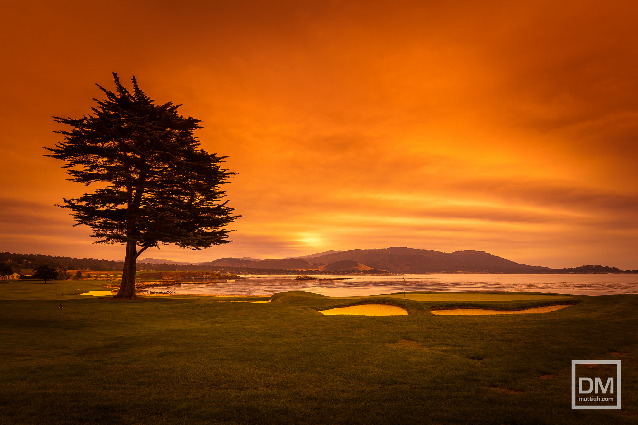Canon EF 16-35mm F4L IS USM sample photo. Pebble beach photography