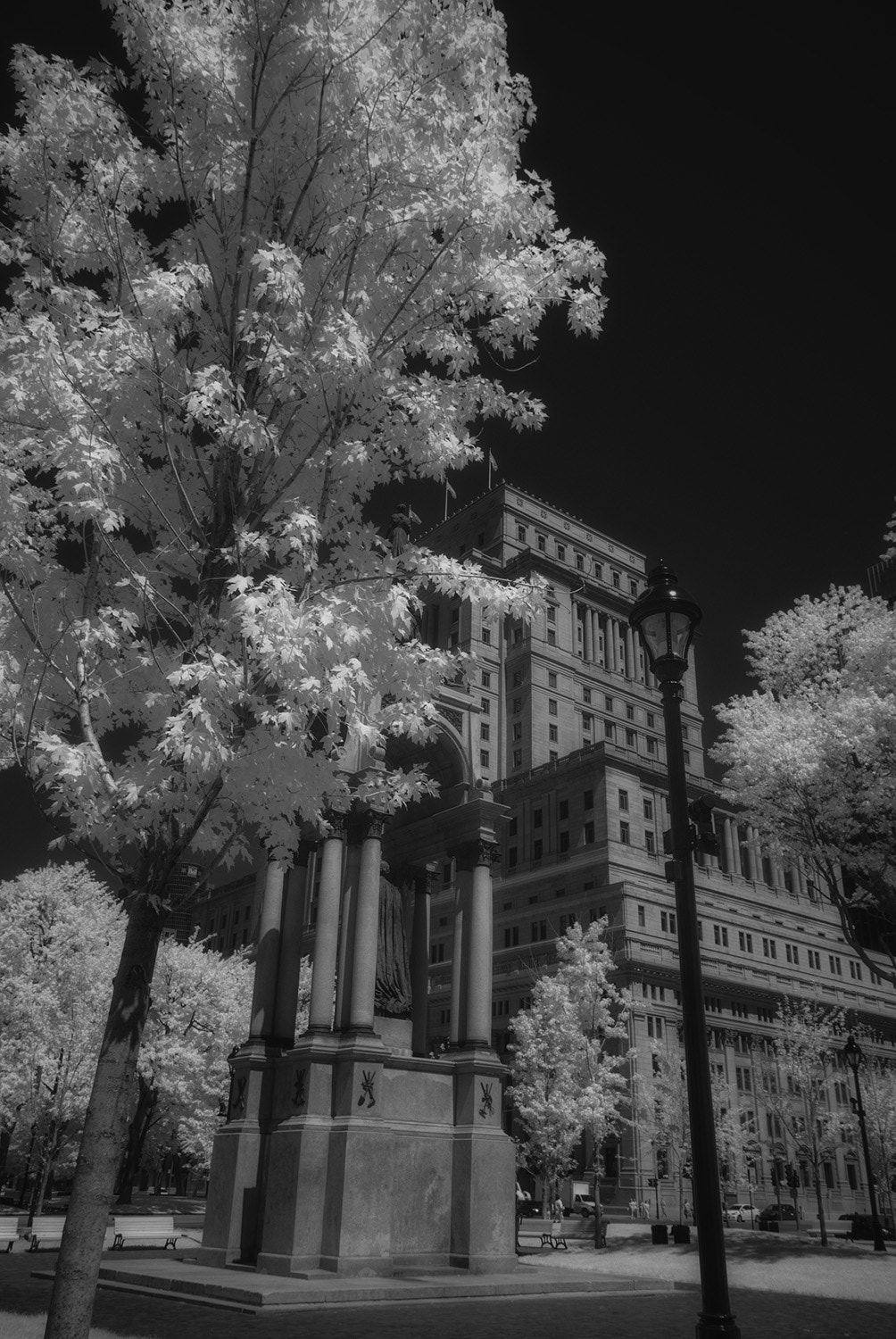 Sigma 10-20mm F4-5.6 EX DC HSM sample photo. Dominion square photography