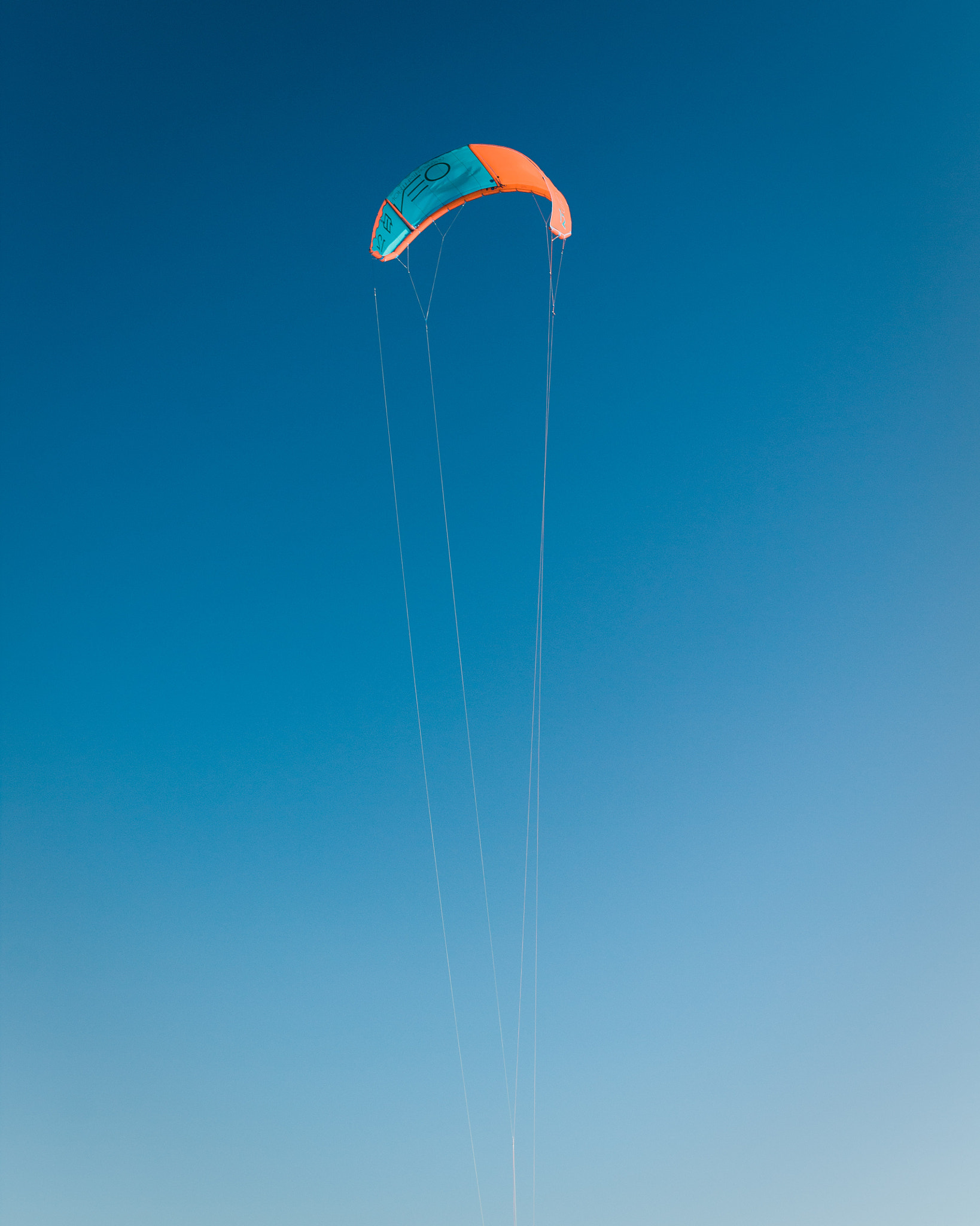 Canon EOS 60D + Sigma 30mm F1.4 EX DC HSM sample photo. Flying high photography