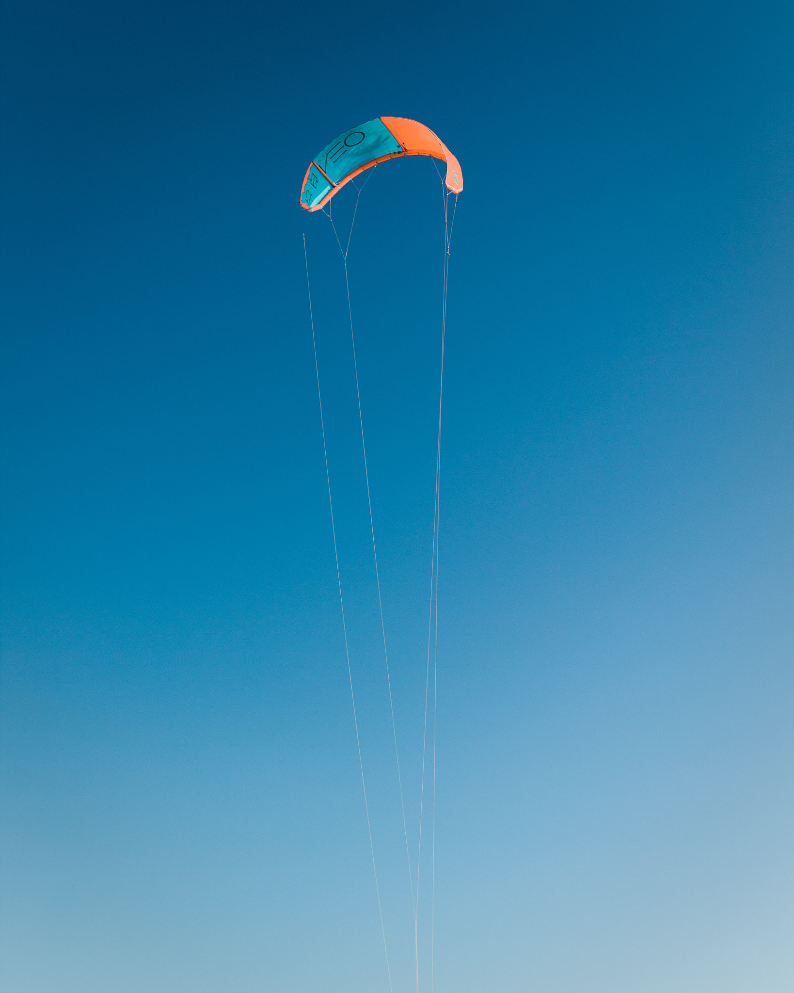 Sigma 30mm F1.4 EX DC HSM sample photo. Flying high photography