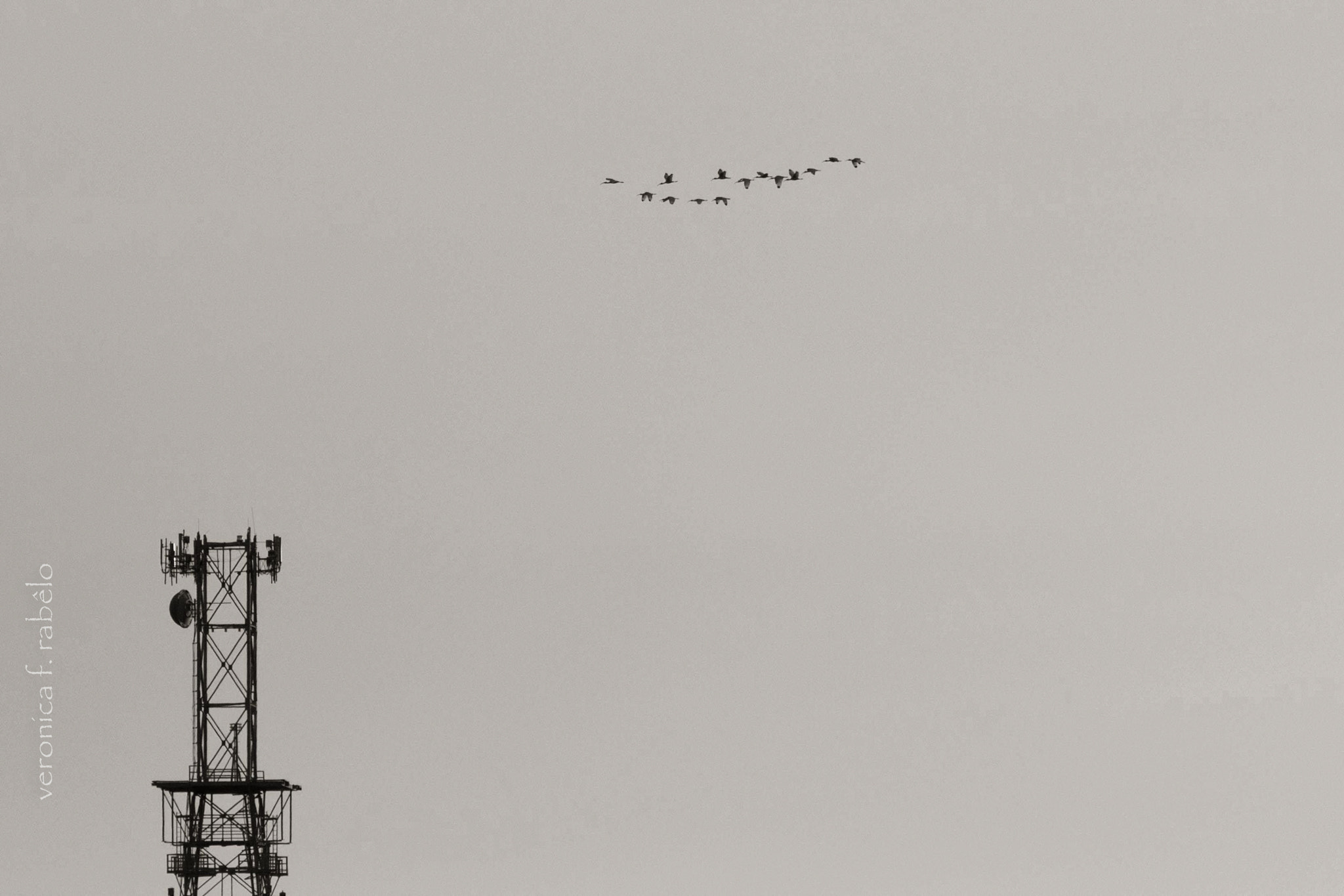 Canon EF 70-200mm F2.8L USM sample photo. Minimum photography