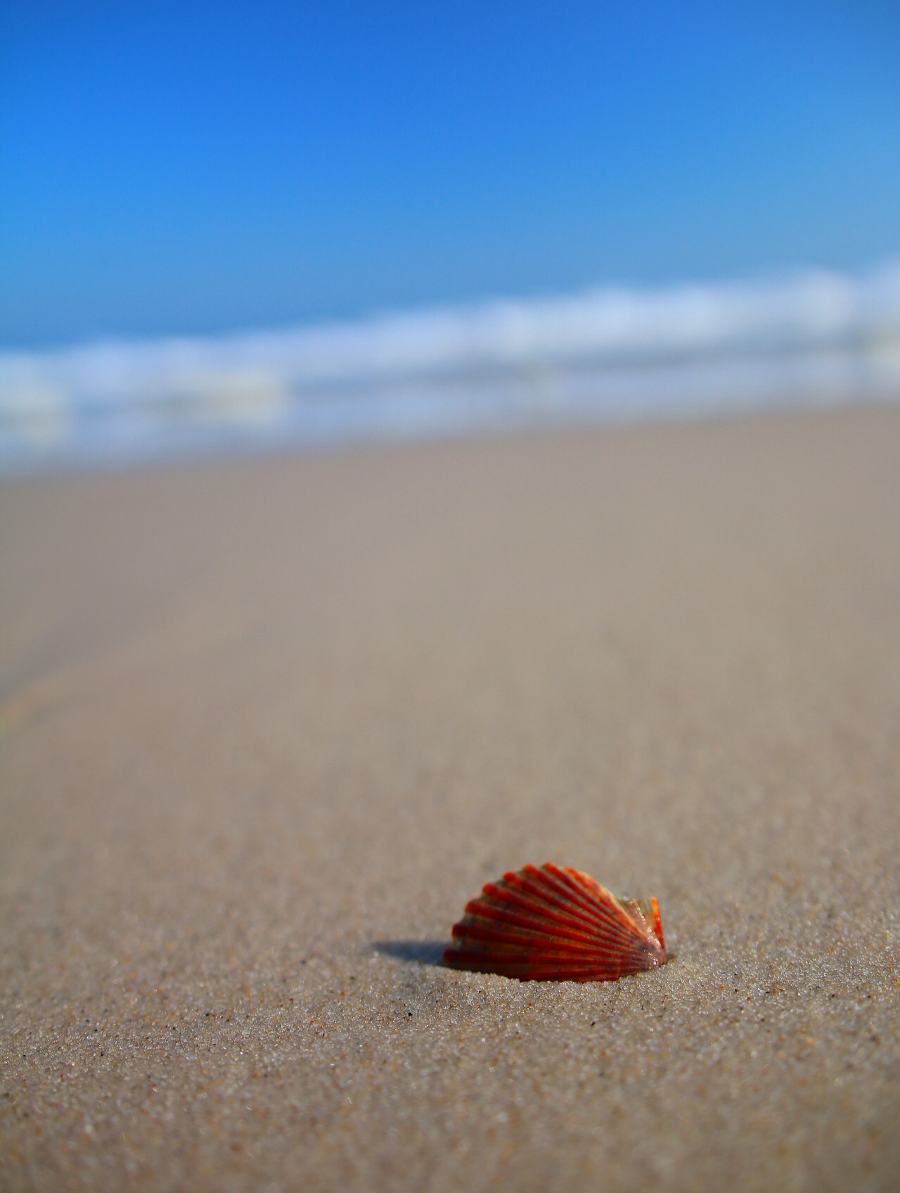 Sigma 18-35mm f/1.8 DC HSM sample photo