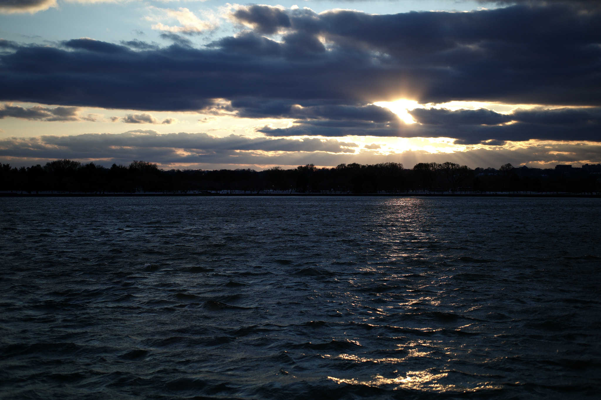 Leica M9 + Leica Summilux-M 50mm F1.4 ASPH sample photo. Night gale photography