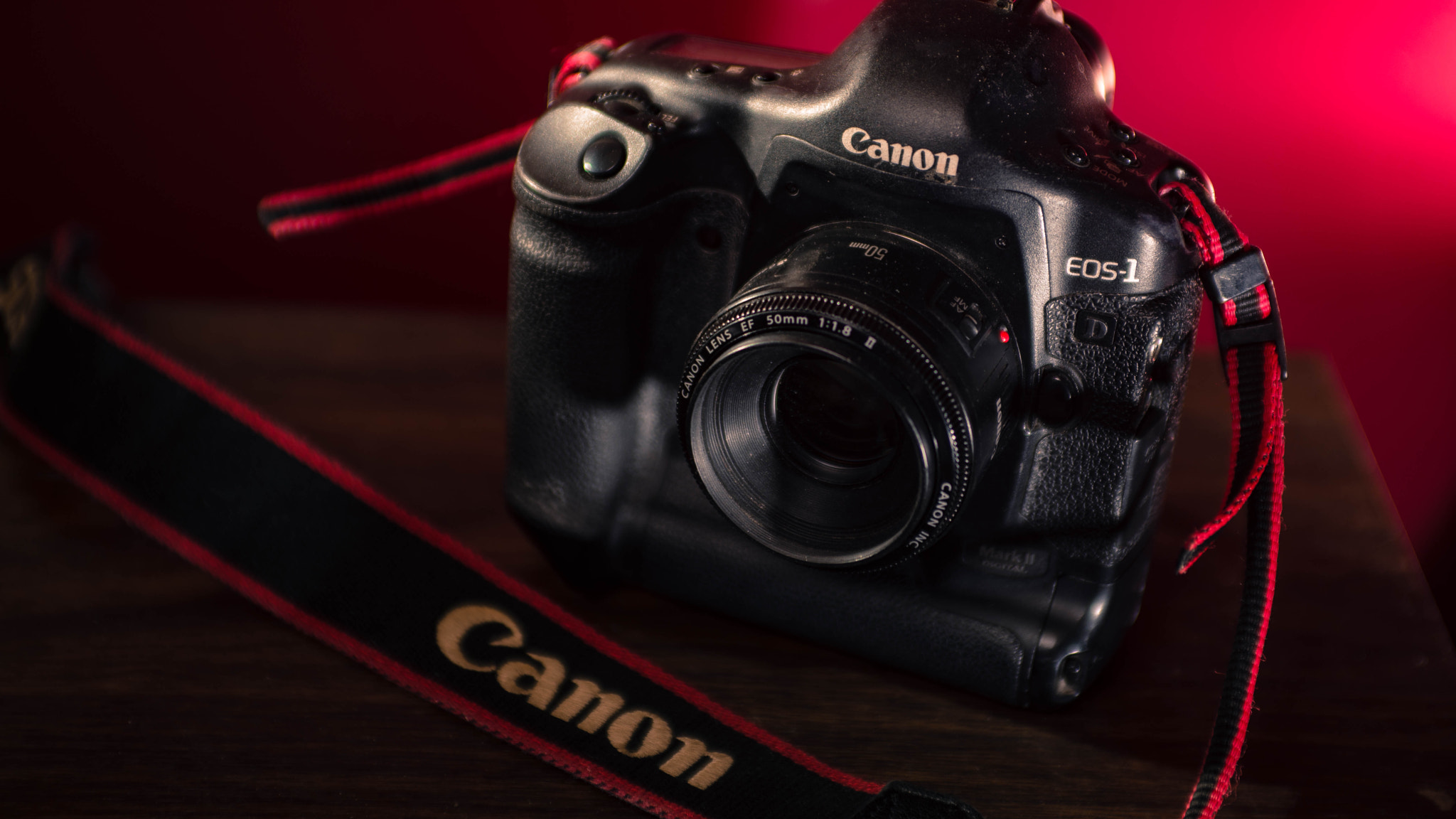 AF Zoom-Nikkor 35-70mm f/2.8D sample photo. Day 74 photography