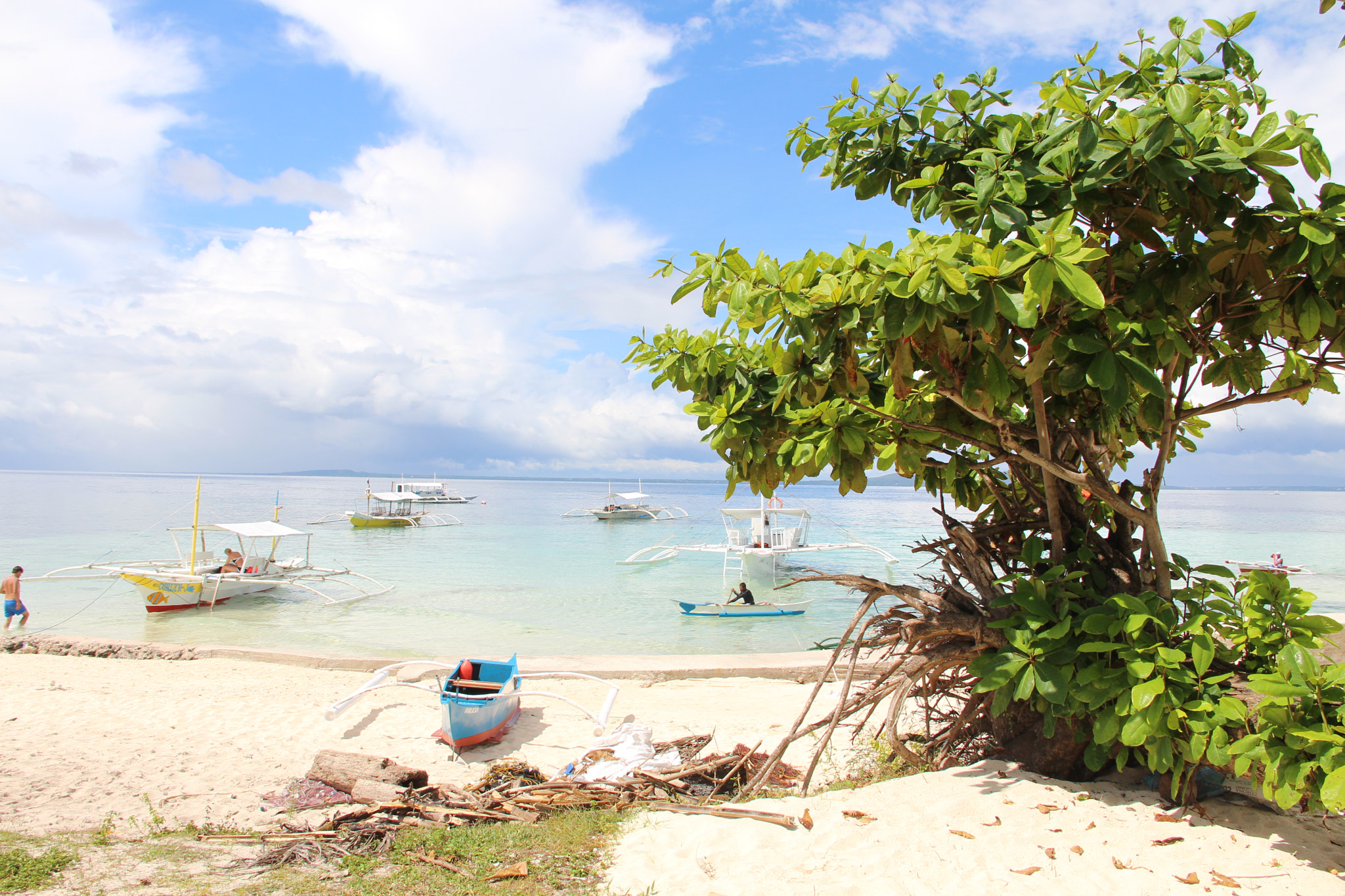 Canon EOS 650D (EOS Rebel T4i / EOS Kiss X6i) sample photo. White sand tree photography