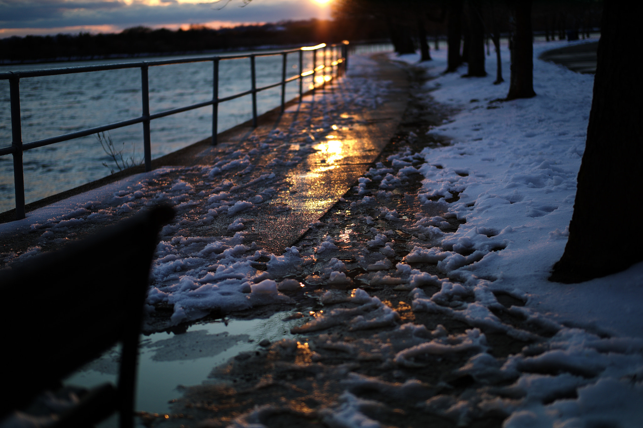 Leica M9 + Leica Summilux-M 50mm F1.4 ASPH sample photo. Golden light photography