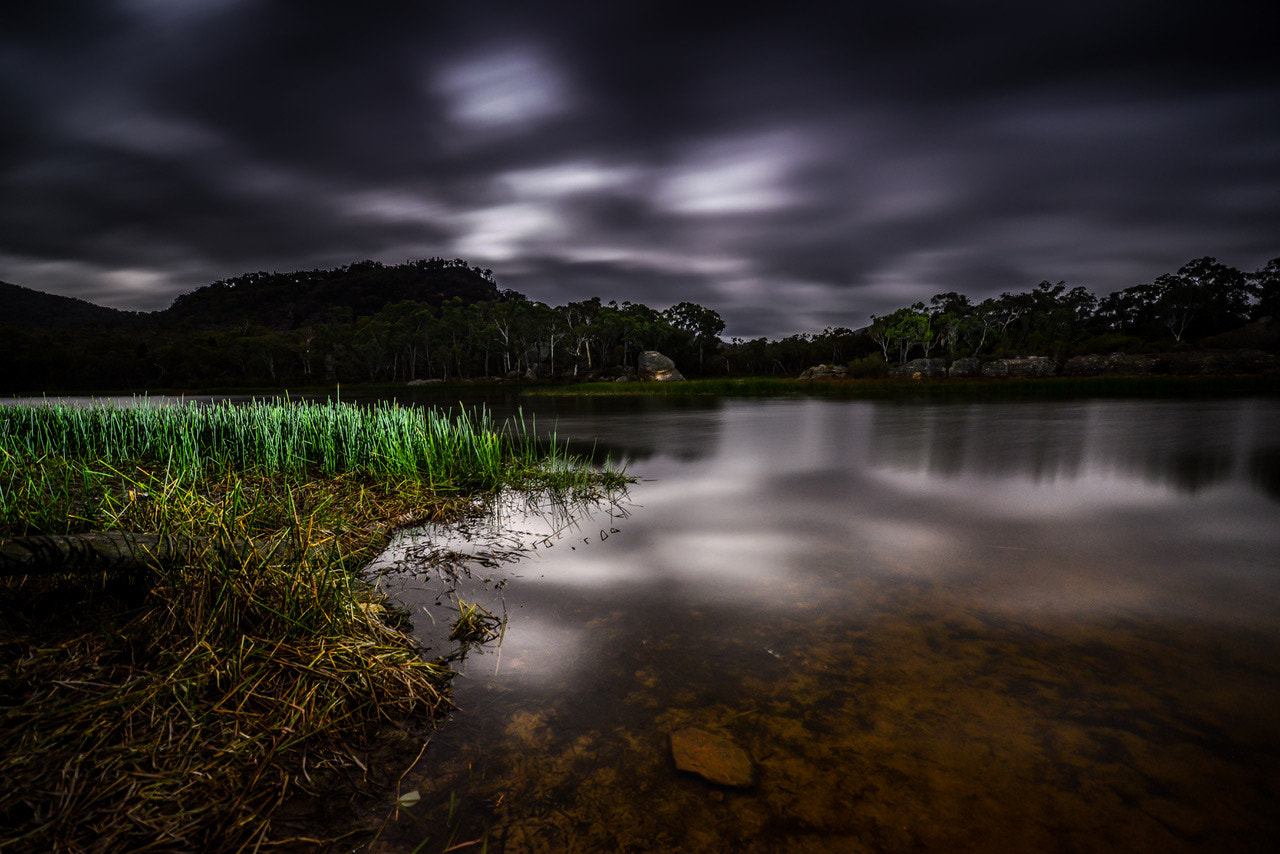 Nikon D800E + ZEISS Distagon T* 15mm F2.8 sample photo. Dunns swamp photography