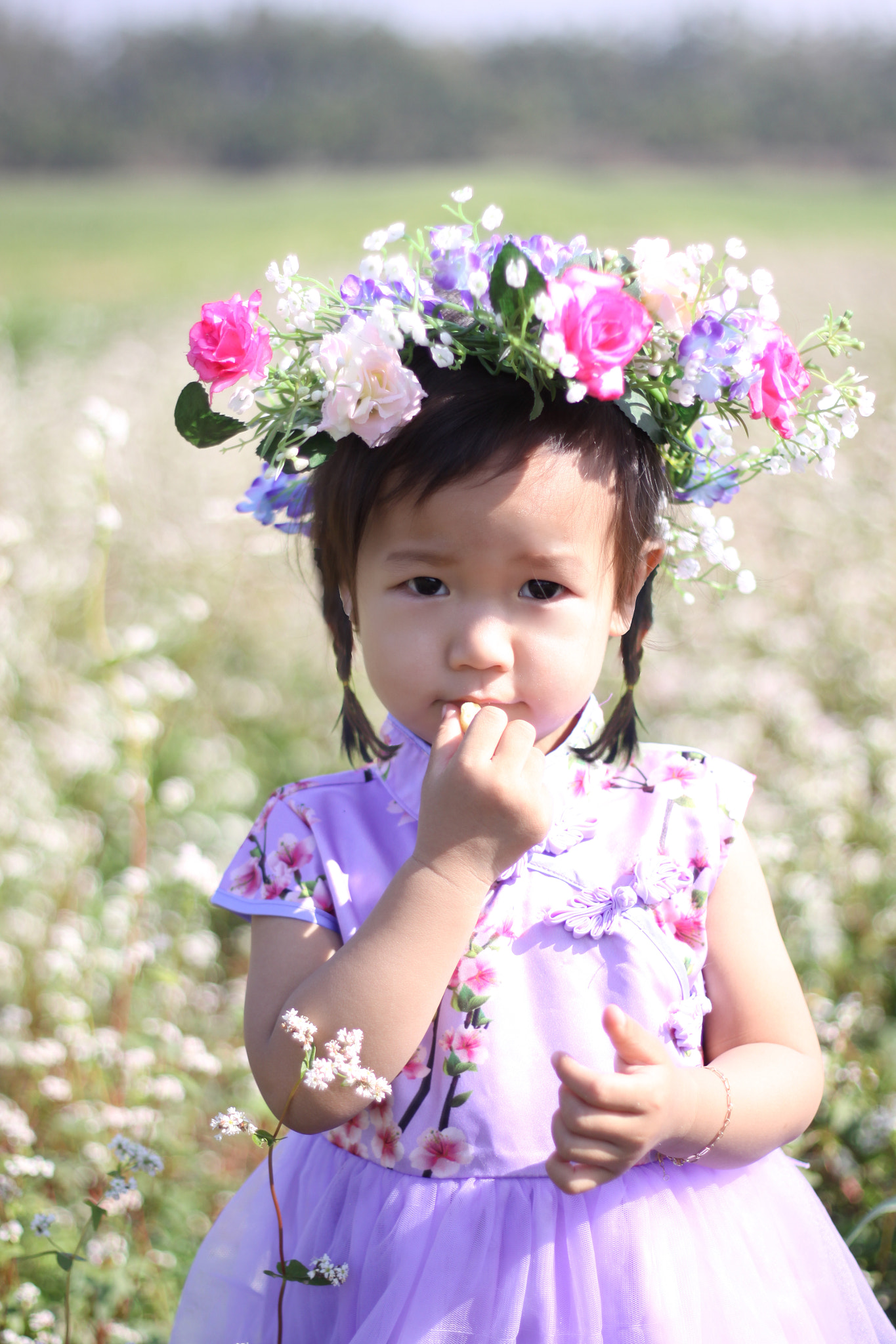 Canon EOS 50D + Canon EF 50mm F1.8 II sample photo. My family photography