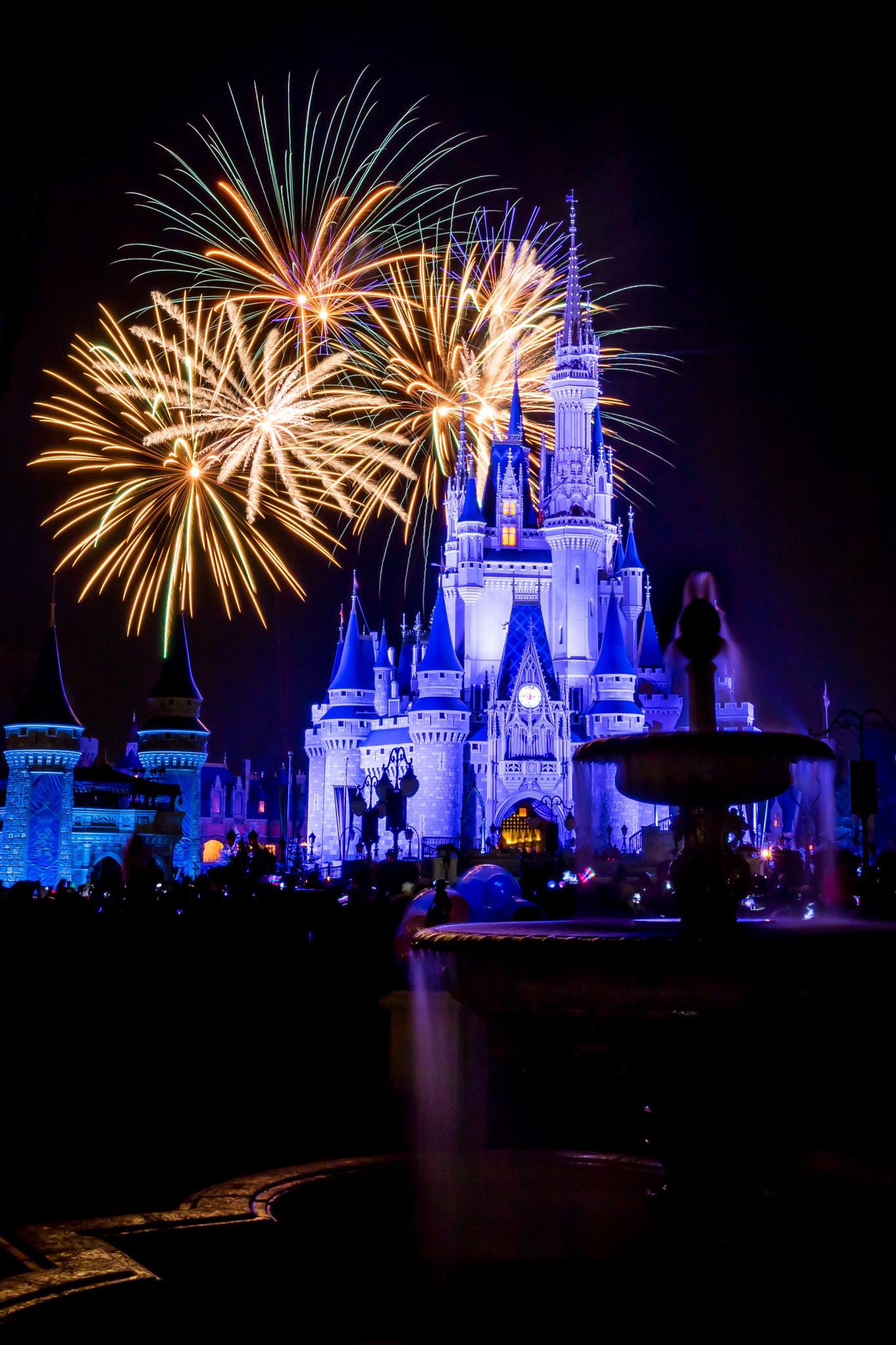 Canon EF 17-40mm F4L USM sample photo. Disney wishes photography