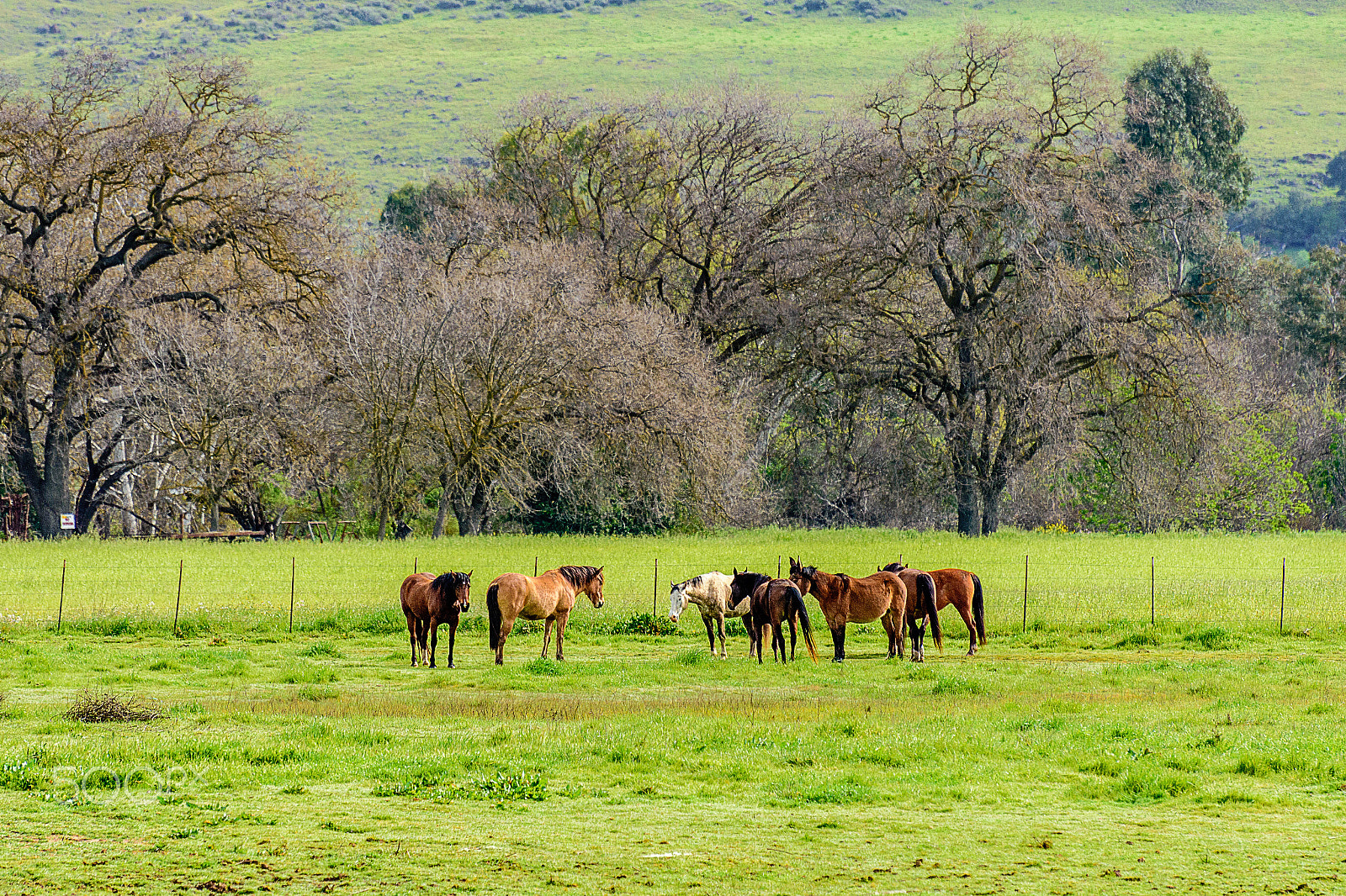 Nikon D7200 sample photo