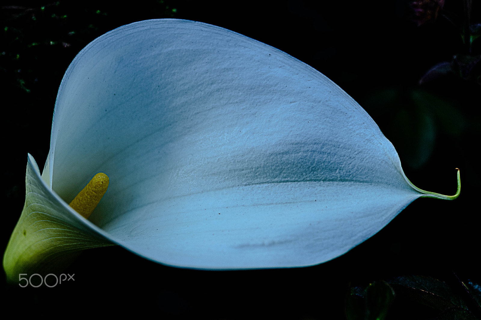Nikon D7200 sample photo
