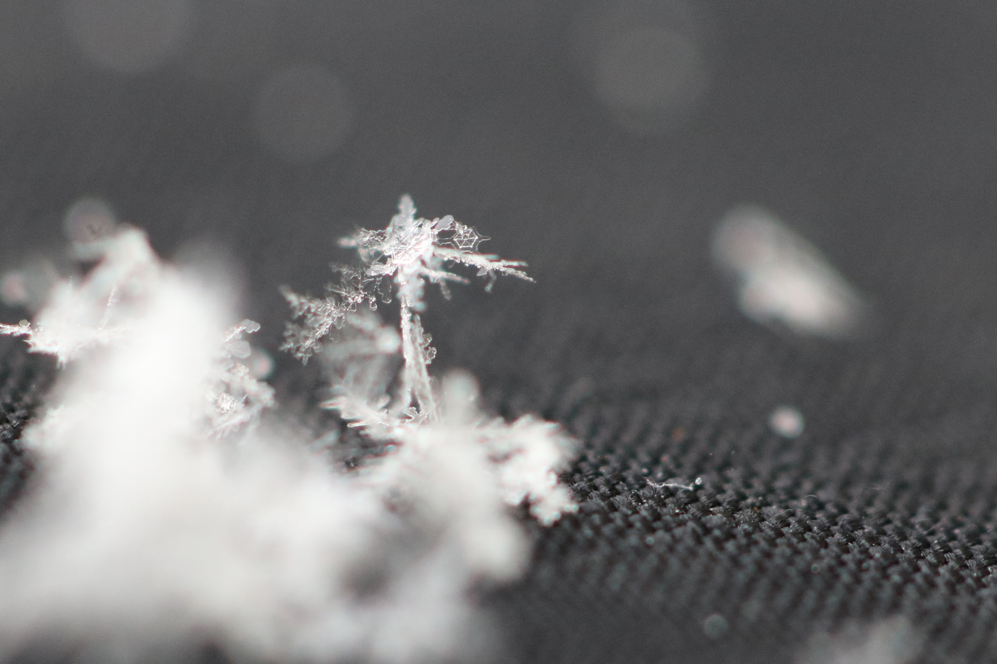 Canon EOS 750D (EOS Rebel T6i / EOS Kiss X8i) + Canon EF 100mm F2.8L Macro IS USM sample photo. Snowflake tower photography