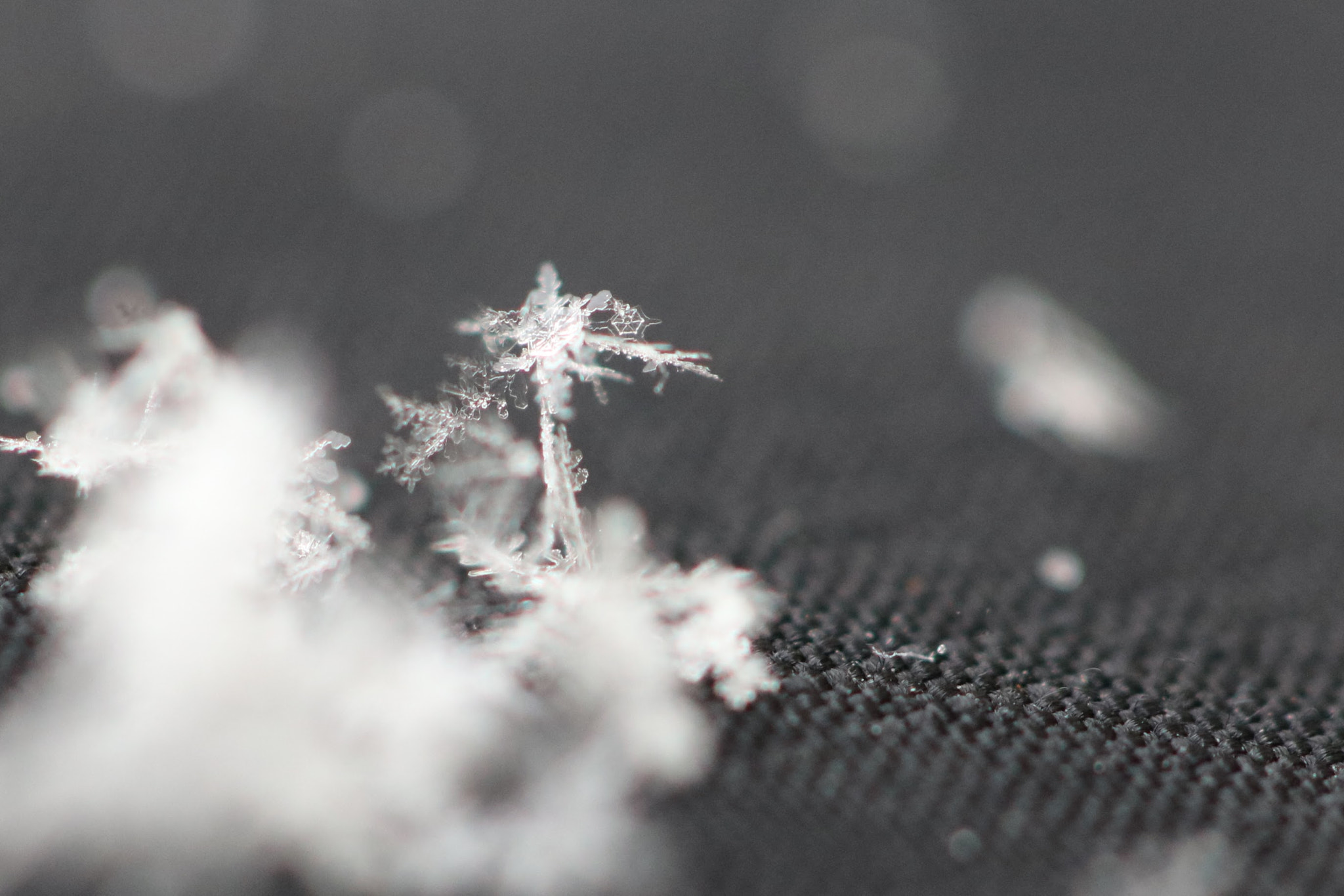 Canon EF 100mm F2.8L Macro IS USM sample photo. Snowflake tower photography