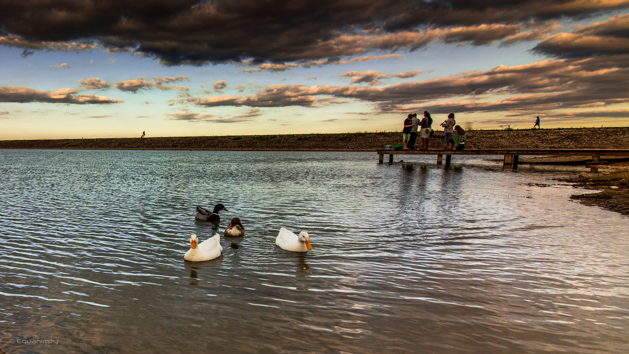 Canon EOS 750D (EOS Rebel T6i / EOS Kiss X8i) sample photo. Happy ducks and happy fishing! photography