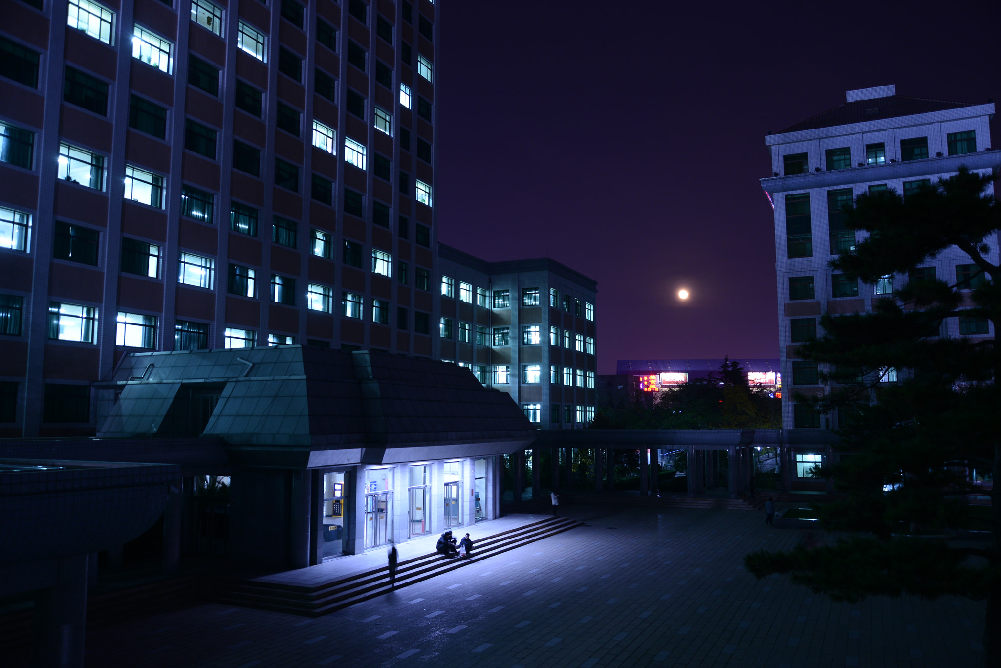 AF Zoom-Nikkor 28-105mm f/3.5-4.5D IF sample photo. Moonlit night photography