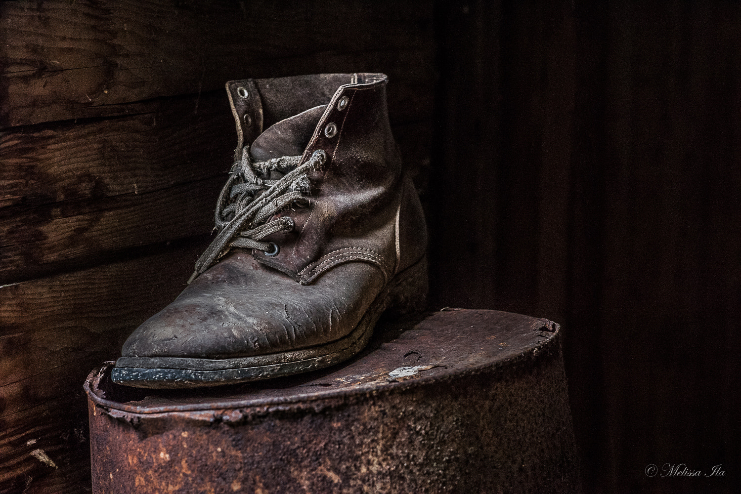 Nikon D810 sample photo. The boot photography