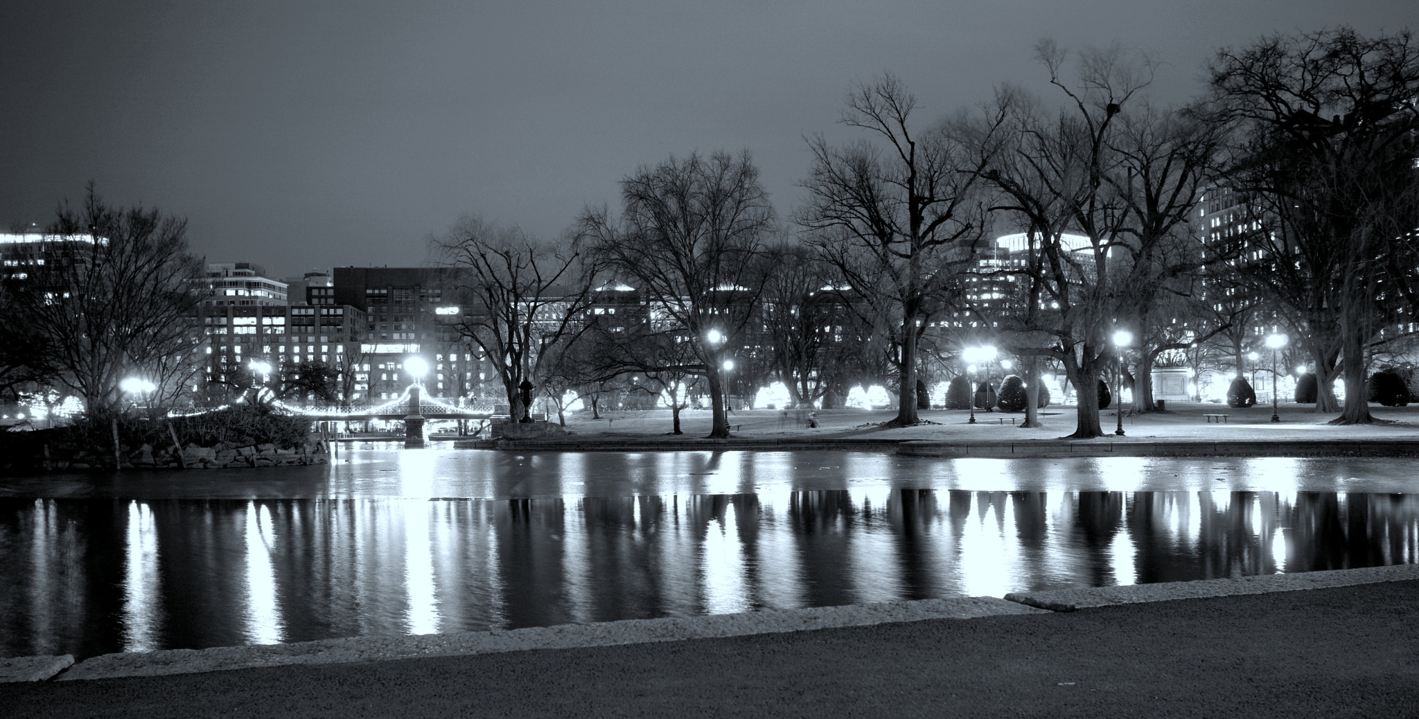 Sony a6000 + Sigma 19mm F2.8 EX DN sample photo. Winter at boston public garden photography