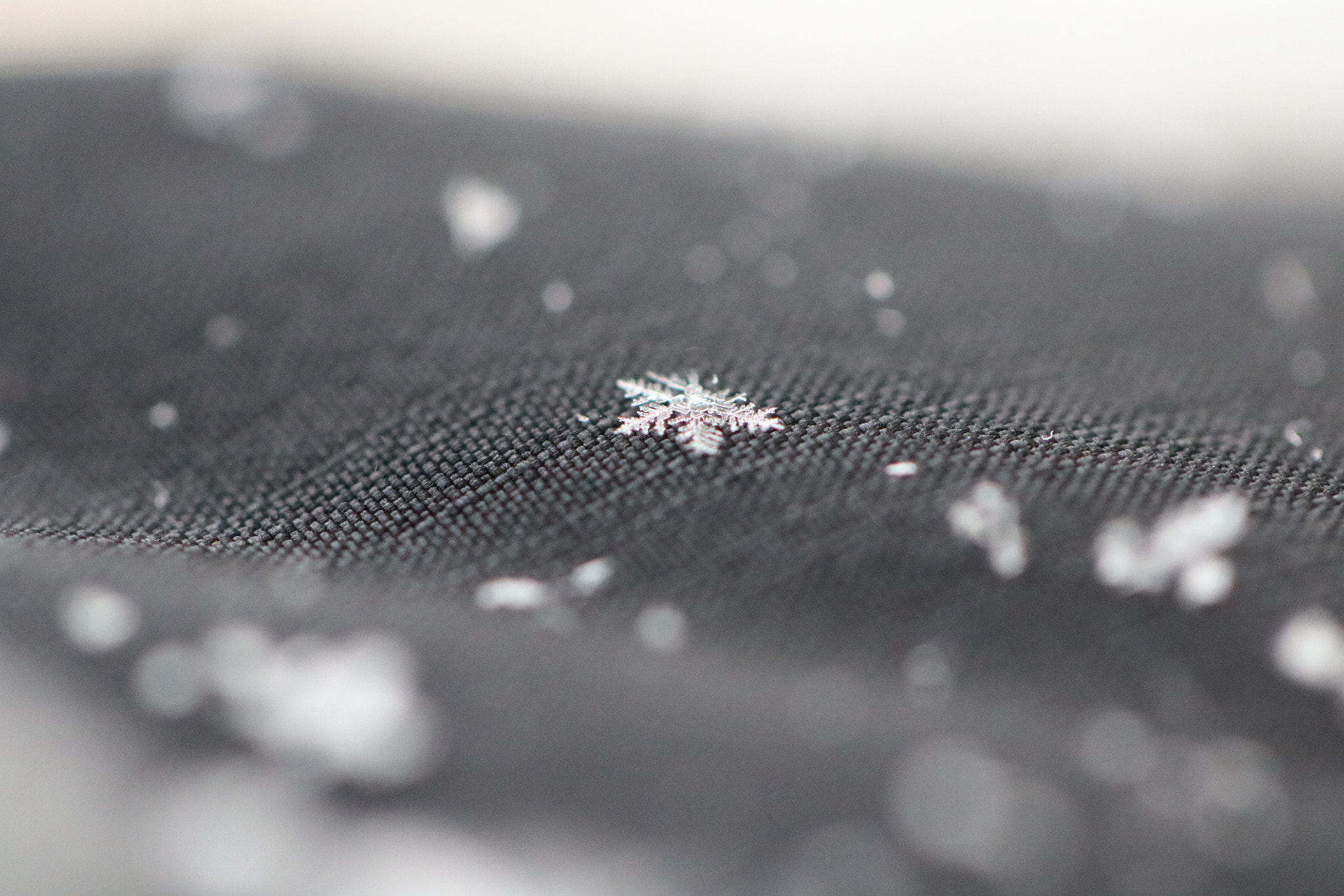 Canon EOS 750D (EOS Rebel T6i / EOS Kiss X8i) + Canon EF 100mm F2.8L Macro IS USM sample photo. Snowflake on my sleeve photography