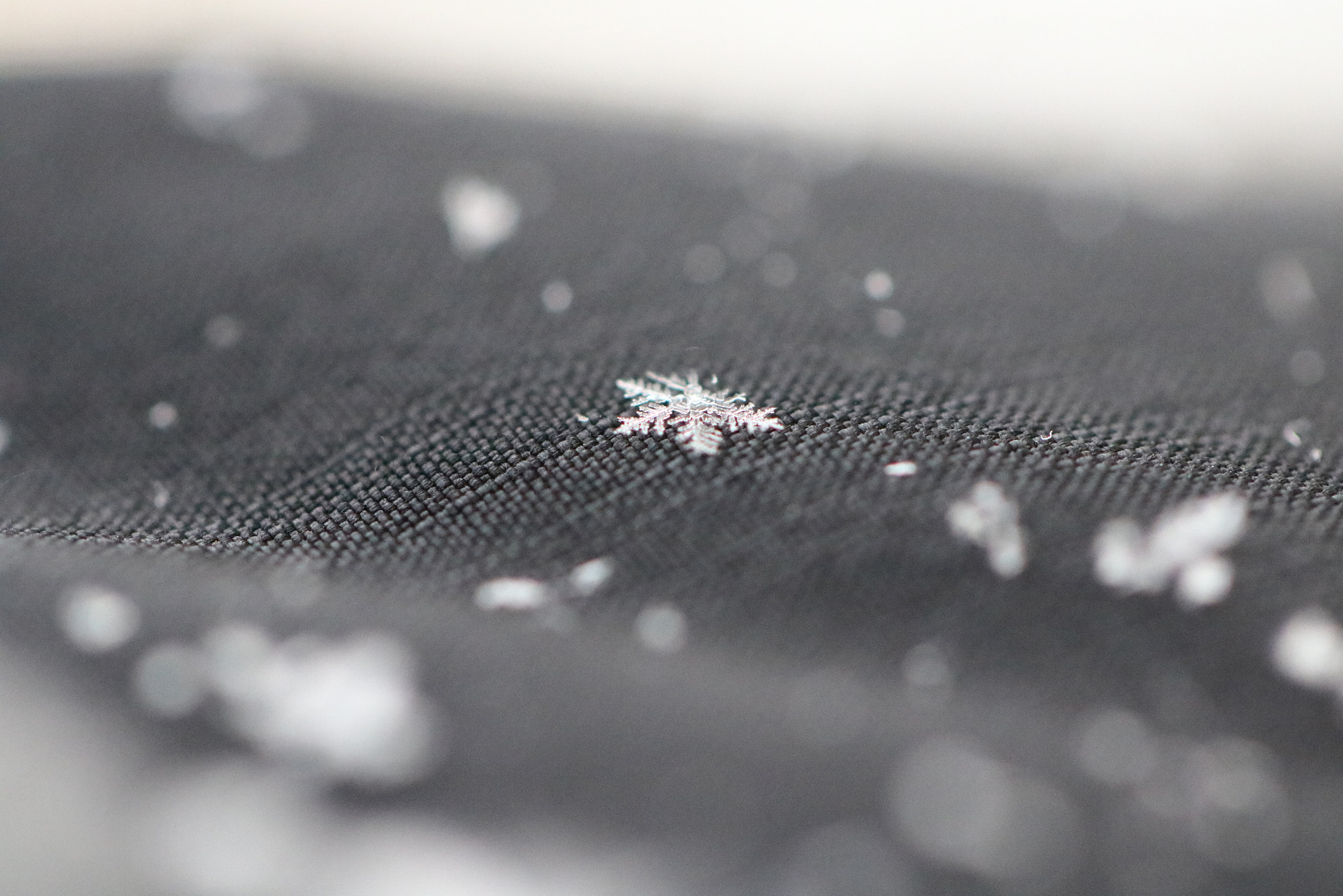 Canon EF 100mm F2.8L Macro IS USM sample photo. Snowflake on my sleeve photography