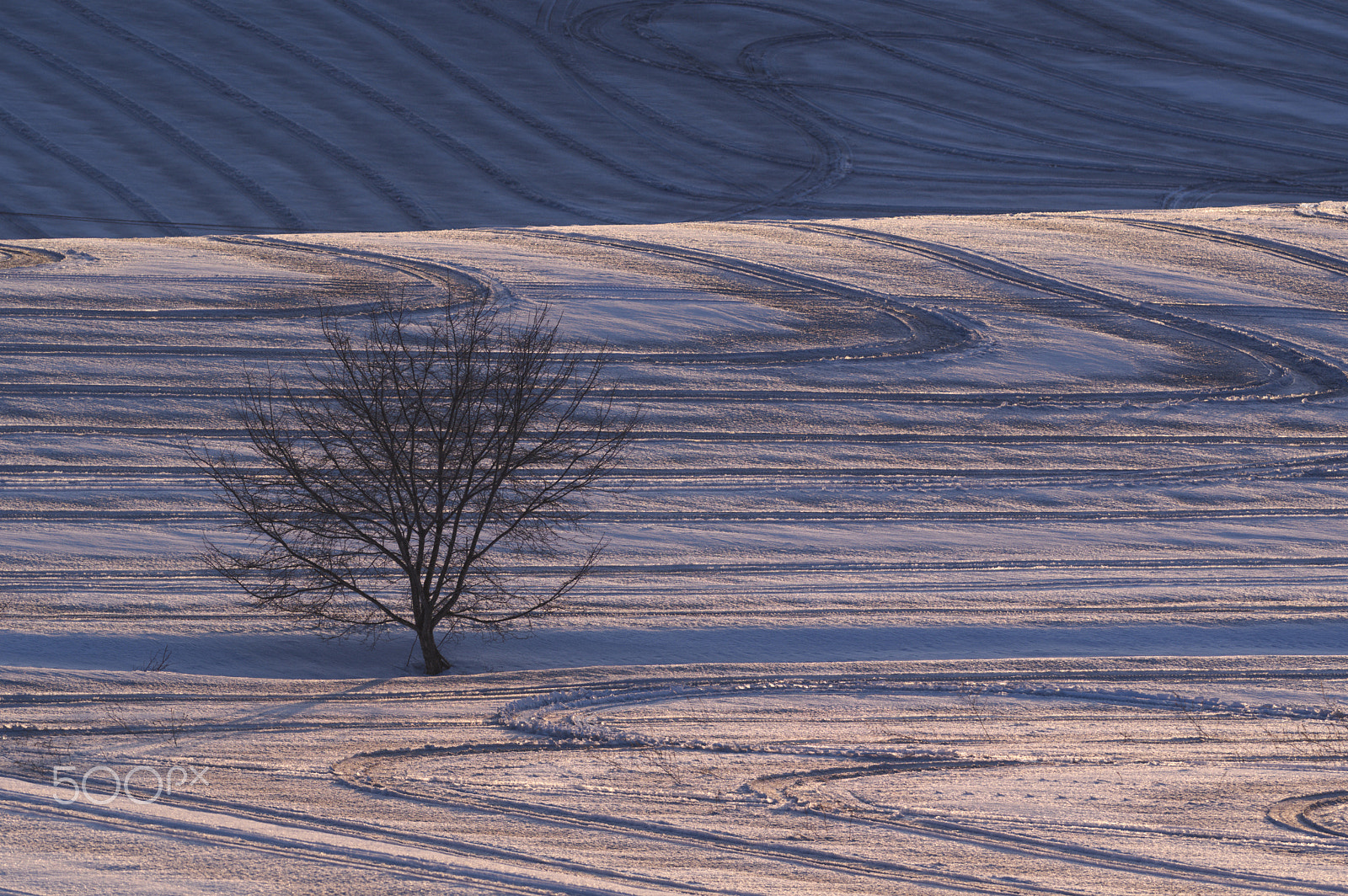 Nikon AF-S Nikkor 300mm F2.8G ED VR II sample photo. 融雪剤の丘 photography