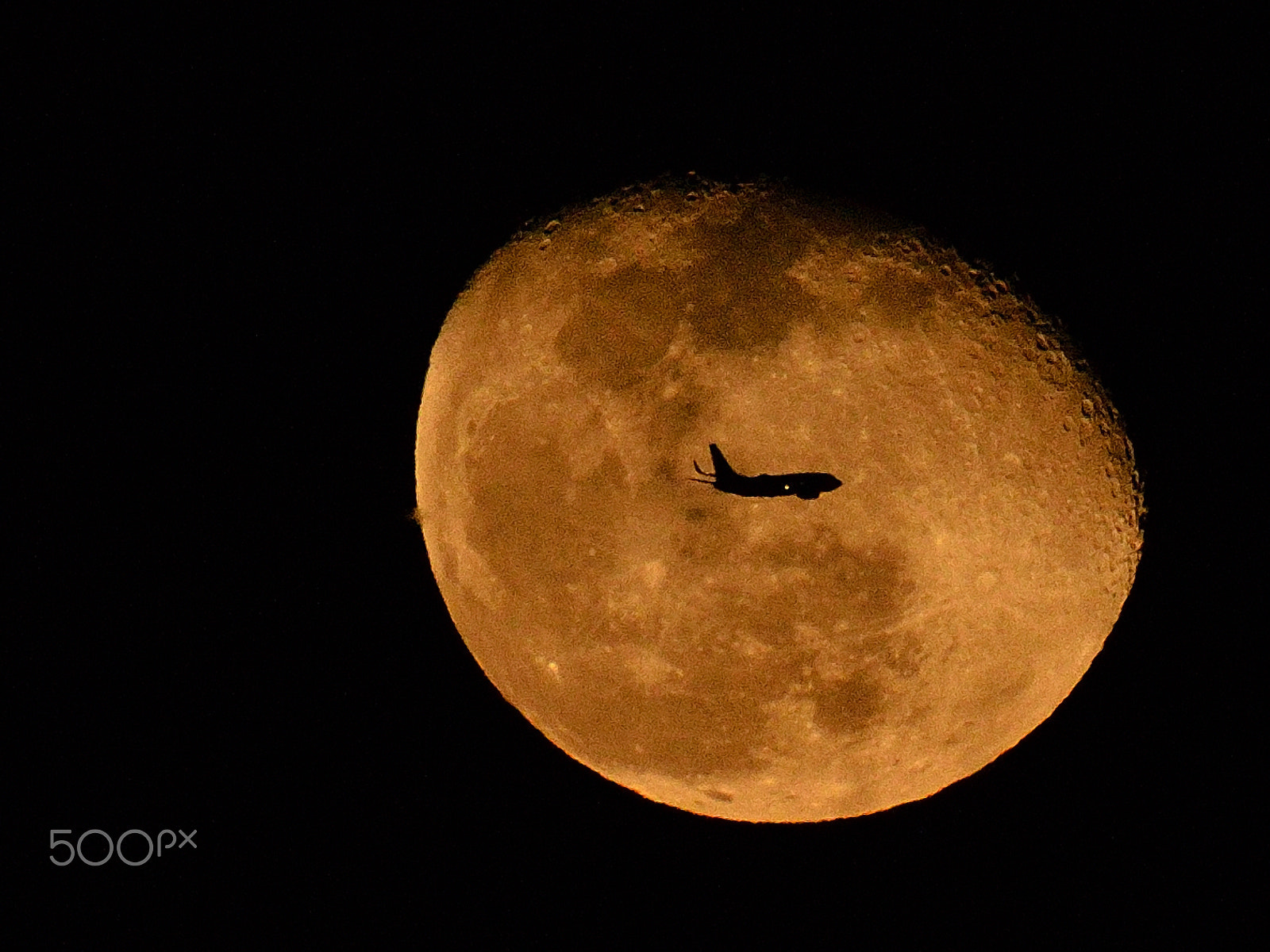 Nikon AF-S Nikkor 200-500mm F5.6E ED VR sample photo. Harvest flight photography