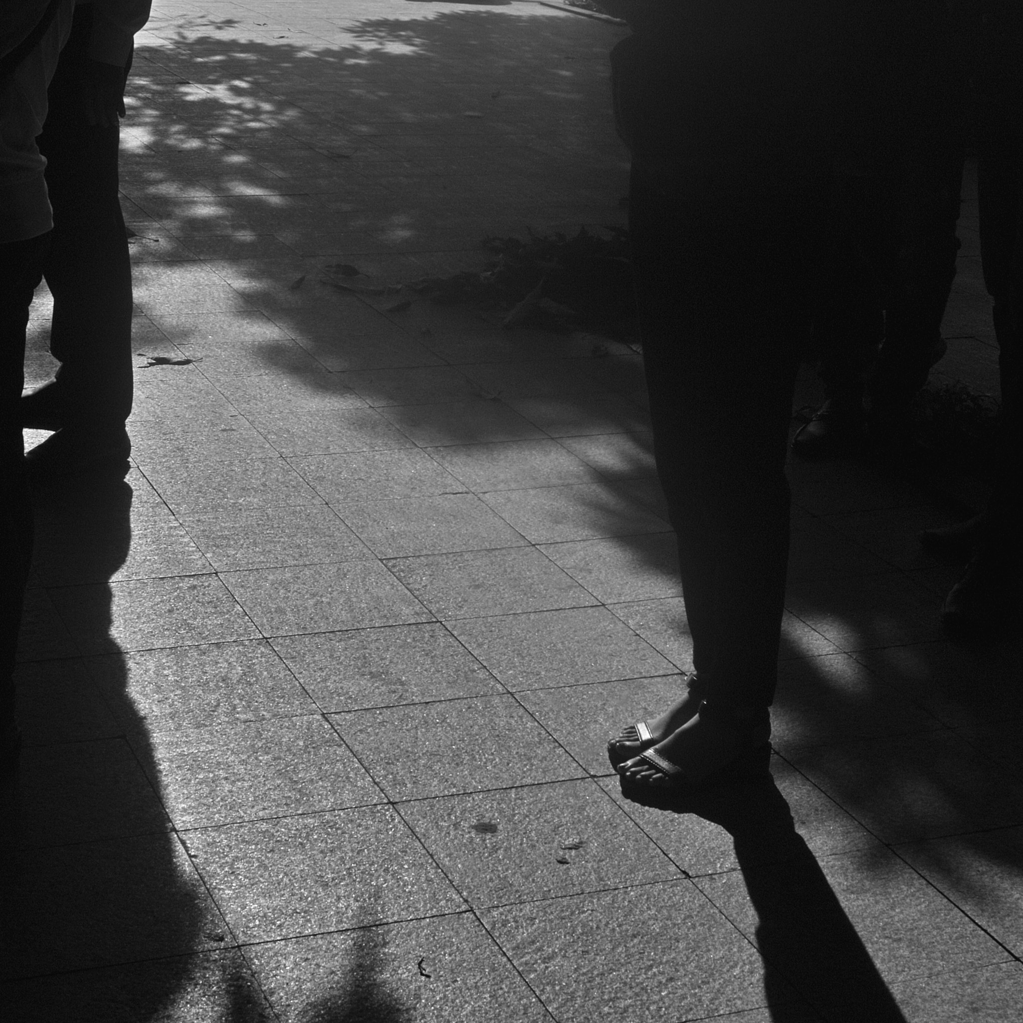 Sigma DP2 sample photo. In the sunlight photography