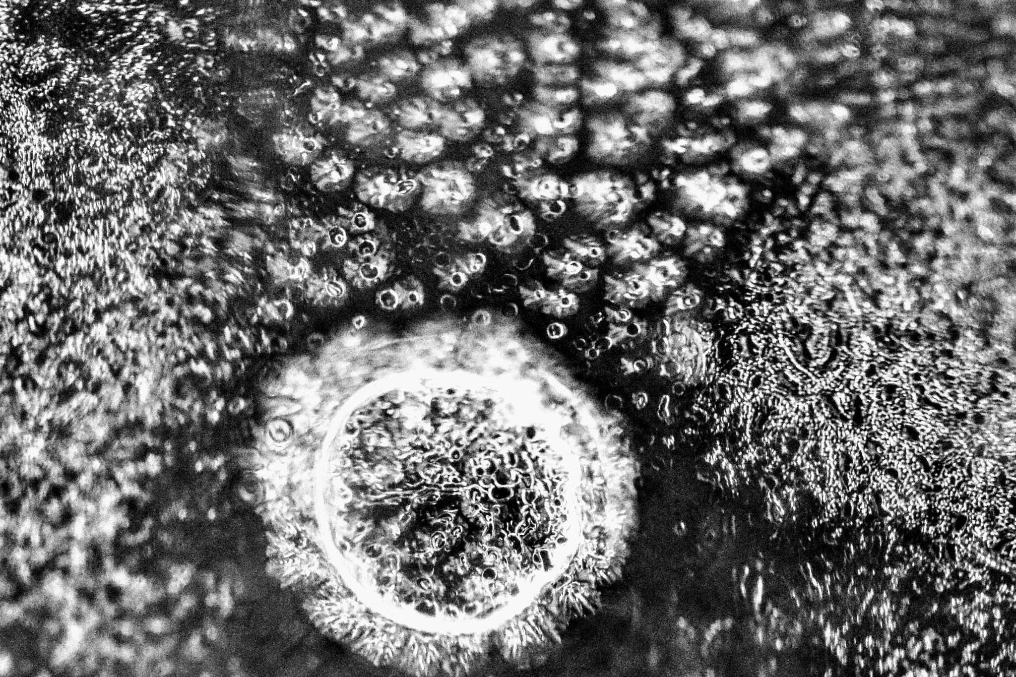 Canon EF 100mm F2.8L Macro IS USM sample photo. Ice planet and ice stars photography