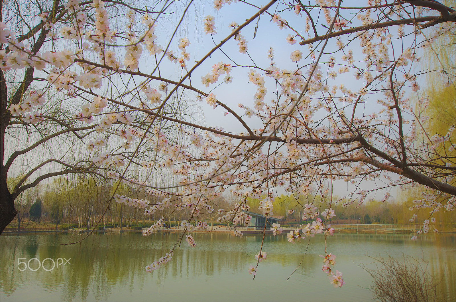 Pentax K-5 IIs + Sigma 10-20mm F3.5 EX DC HSM sample photo. Waking up photography