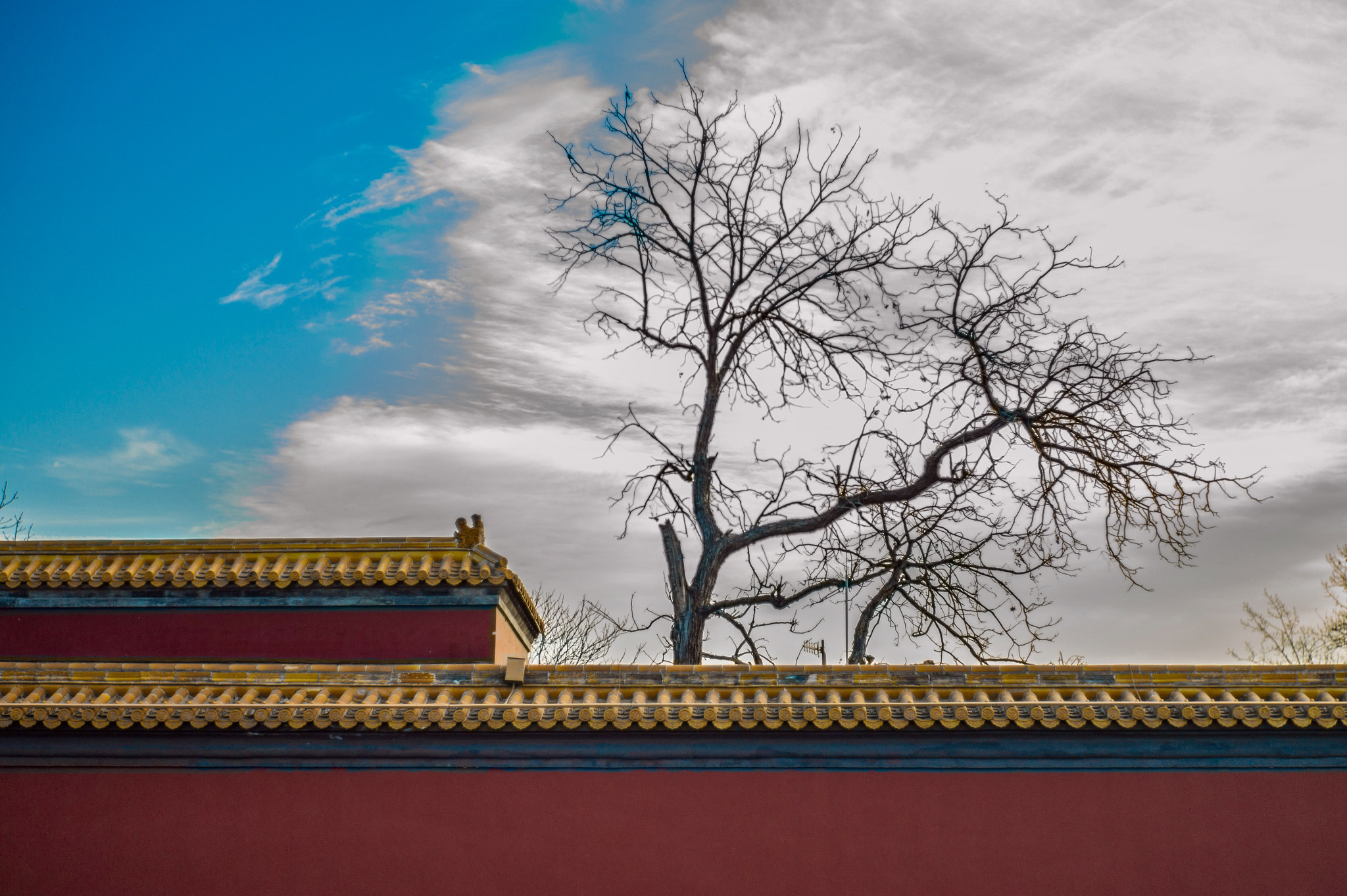 Leica M9 + Summilux-M 50mm f/1.4 (II) sample photo. Winter in the forbidden city photography