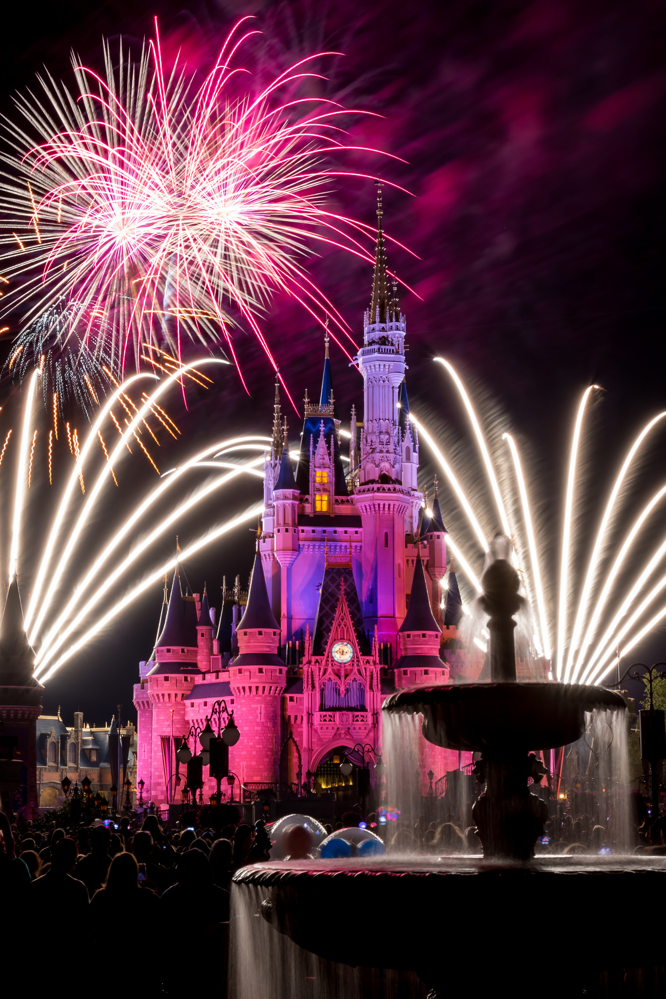 Canon EF 17-40mm F4L USM sample photo. Disney wishes! photography
