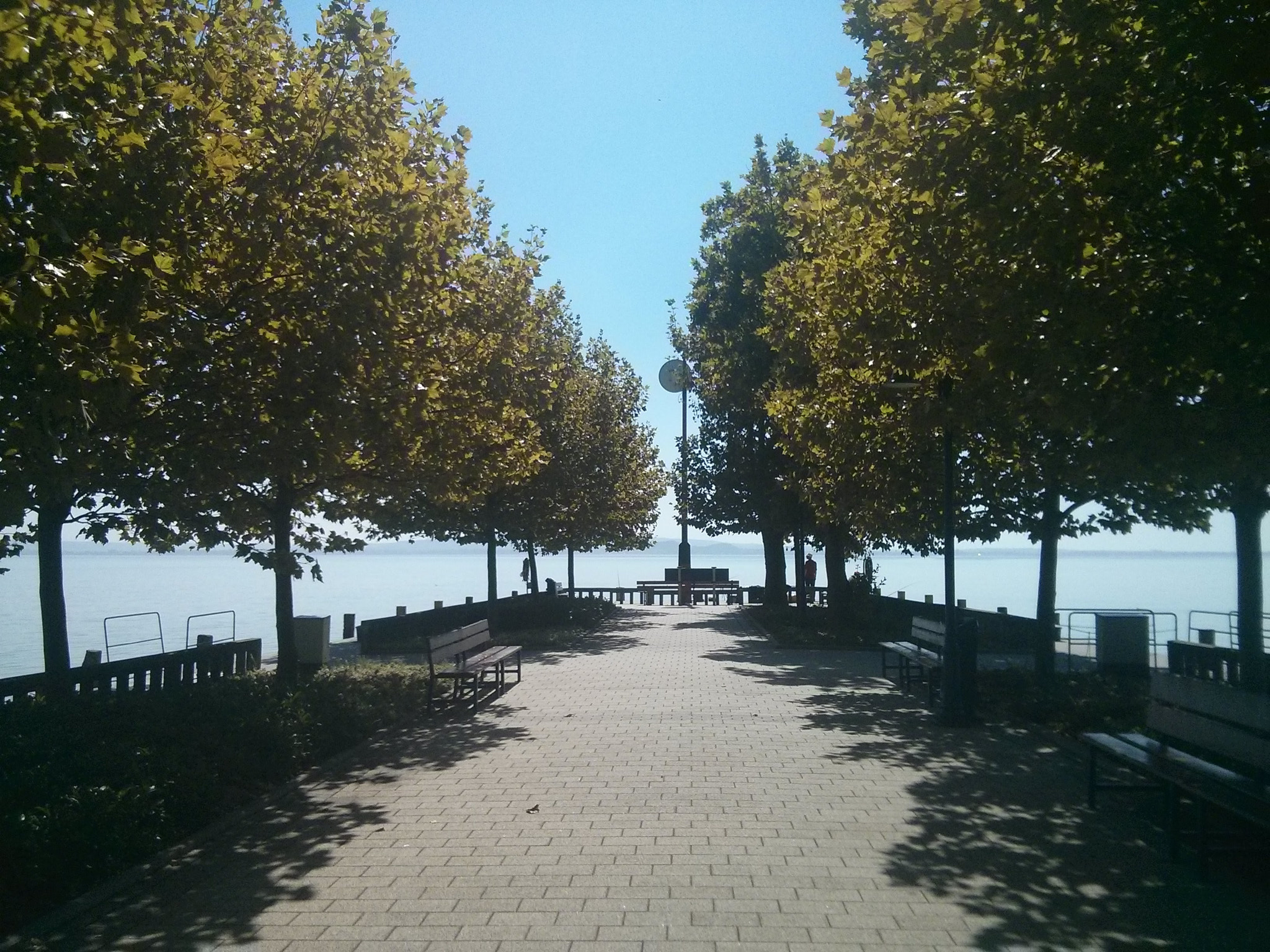 LG Nexus 4 sample photo. A dock photography