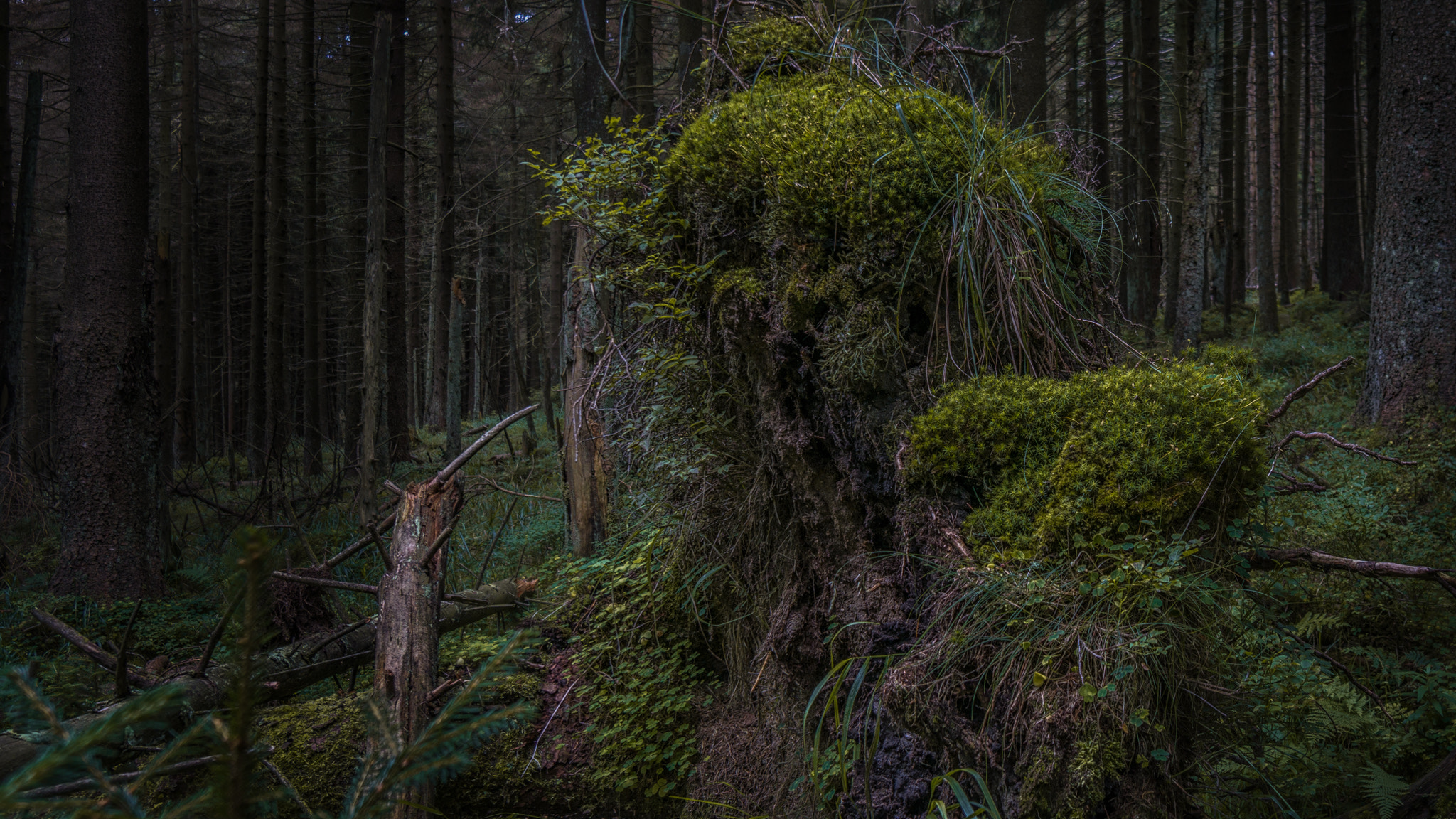 Sony a6000 + Sony E 10-18mm F4 OSS sample photo. Germany | harz 2016 photography
