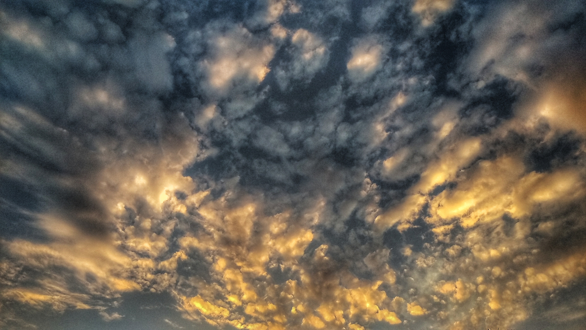 HTC M9 sample photo. Spread  photography