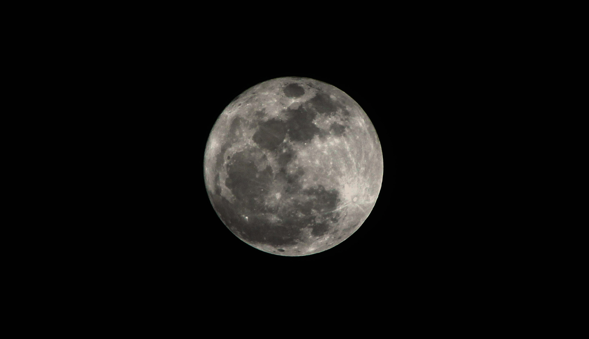 Canon EOS 600D (Rebel EOS T3i / EOS Kiss X5) + EF75-300mm f/4-5.6 sample photo. Img photography